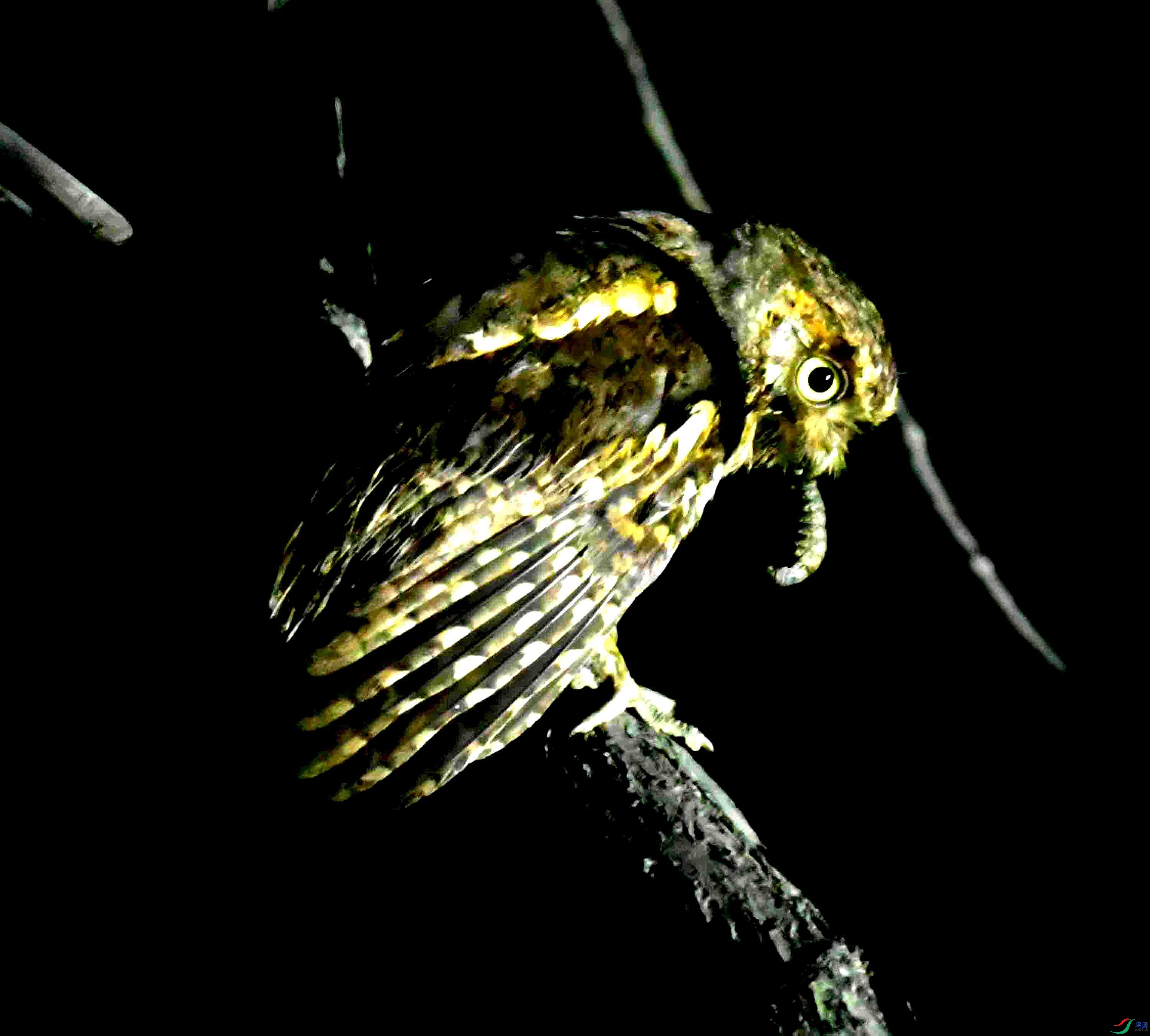 DSC_0670.JPG