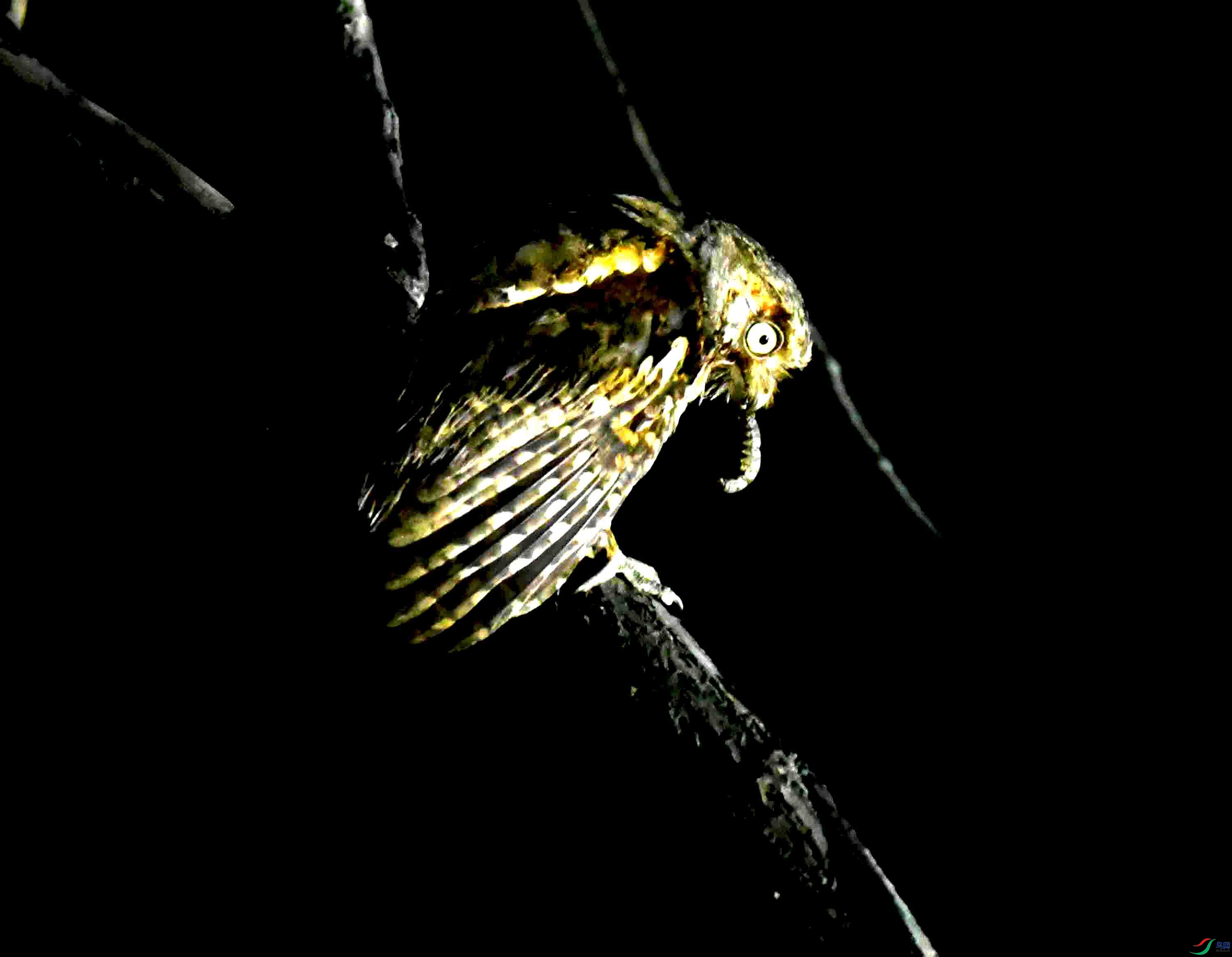 DSC_0650.JPG