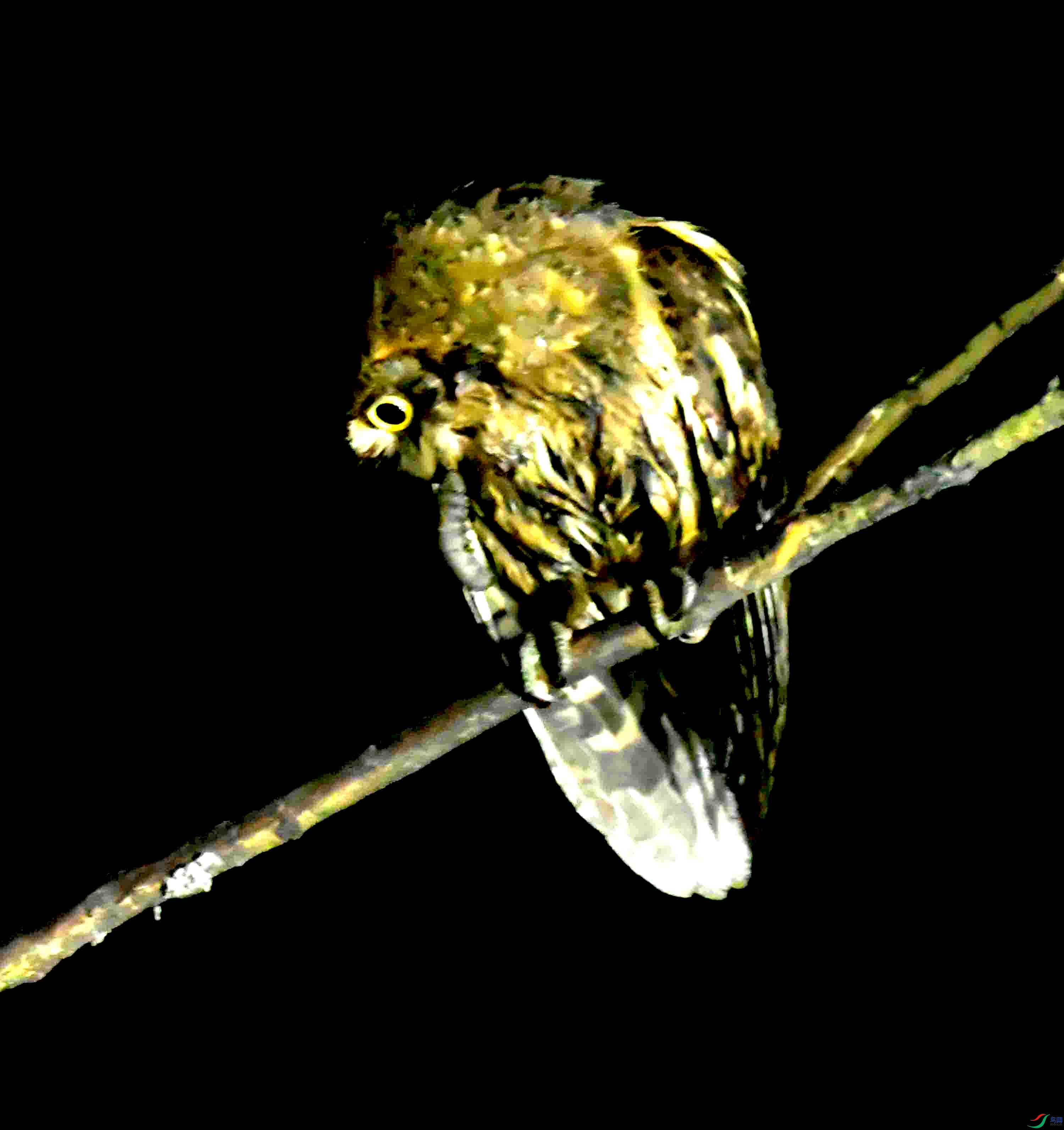 DSC_0707.JPG