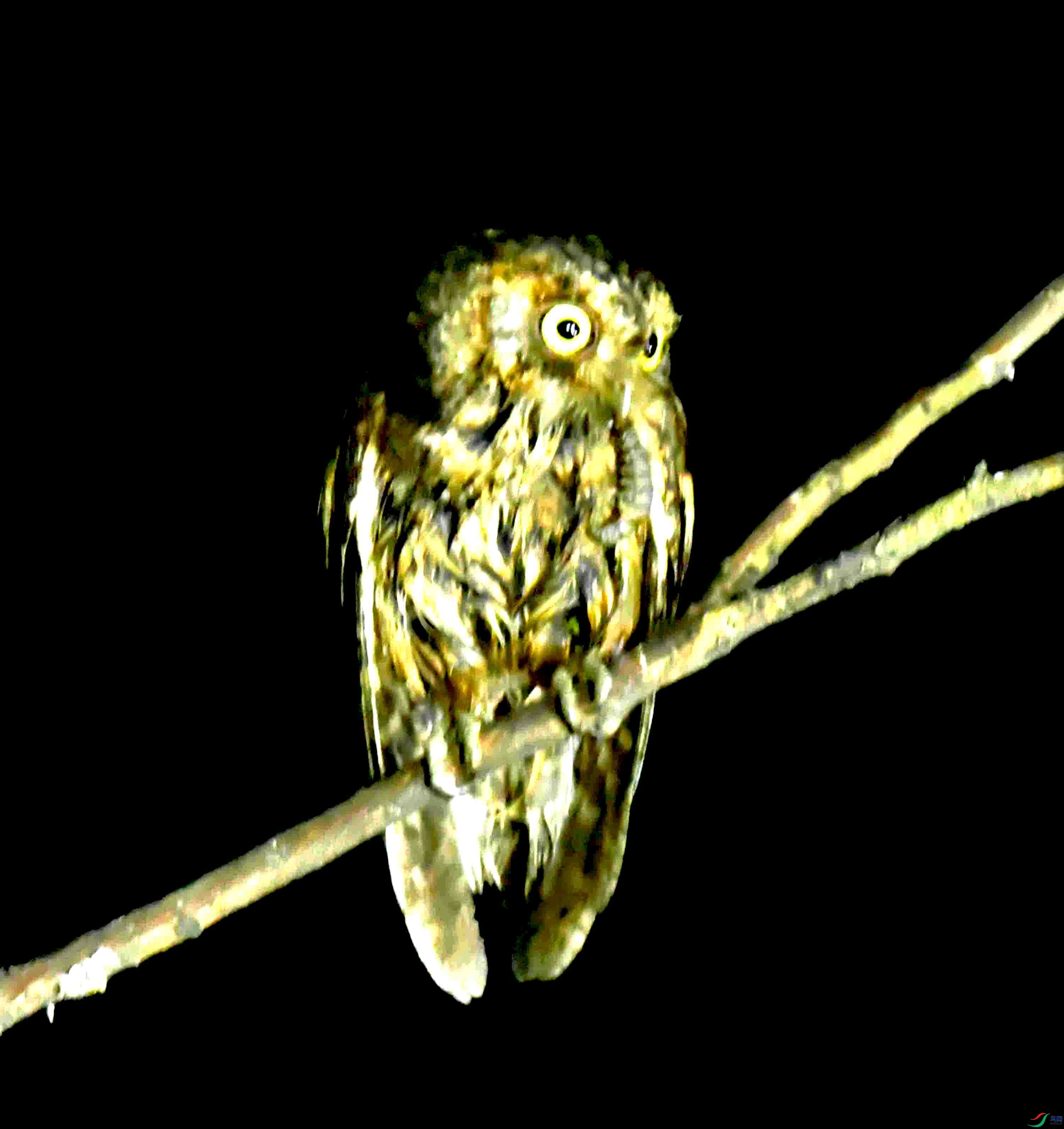 DSC_0675.JPG