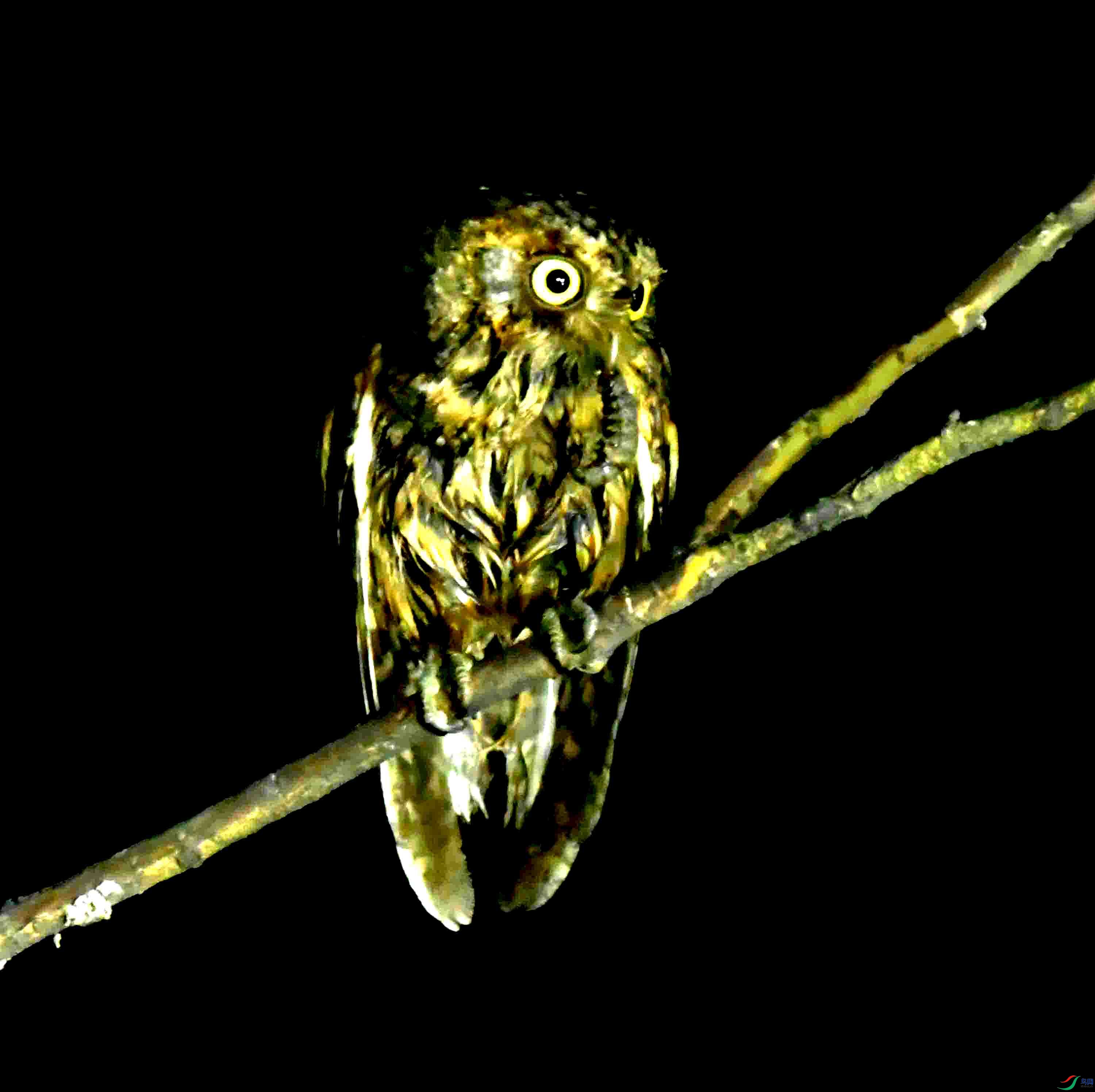 DSC_0677.JPG