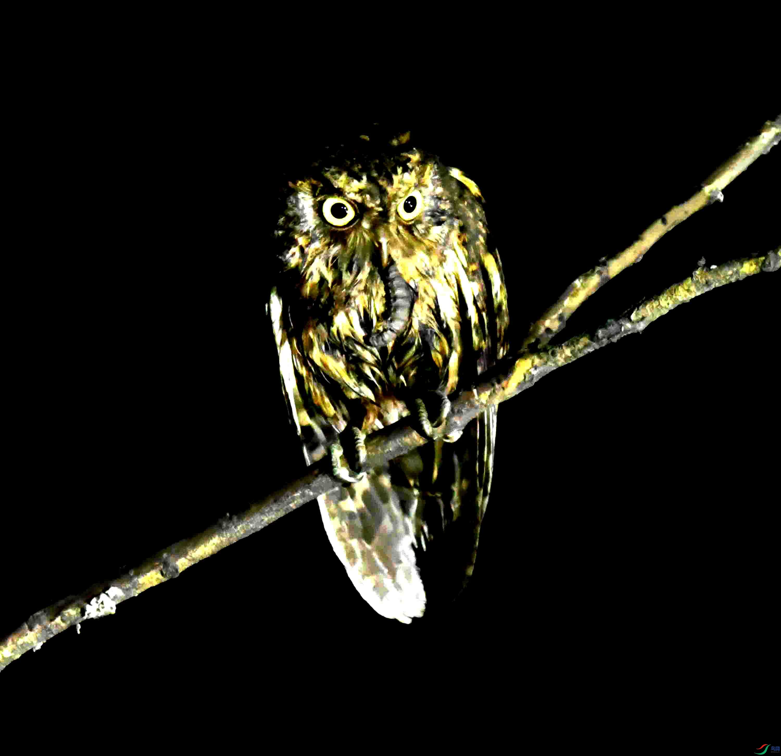 DSC_0720.JPG