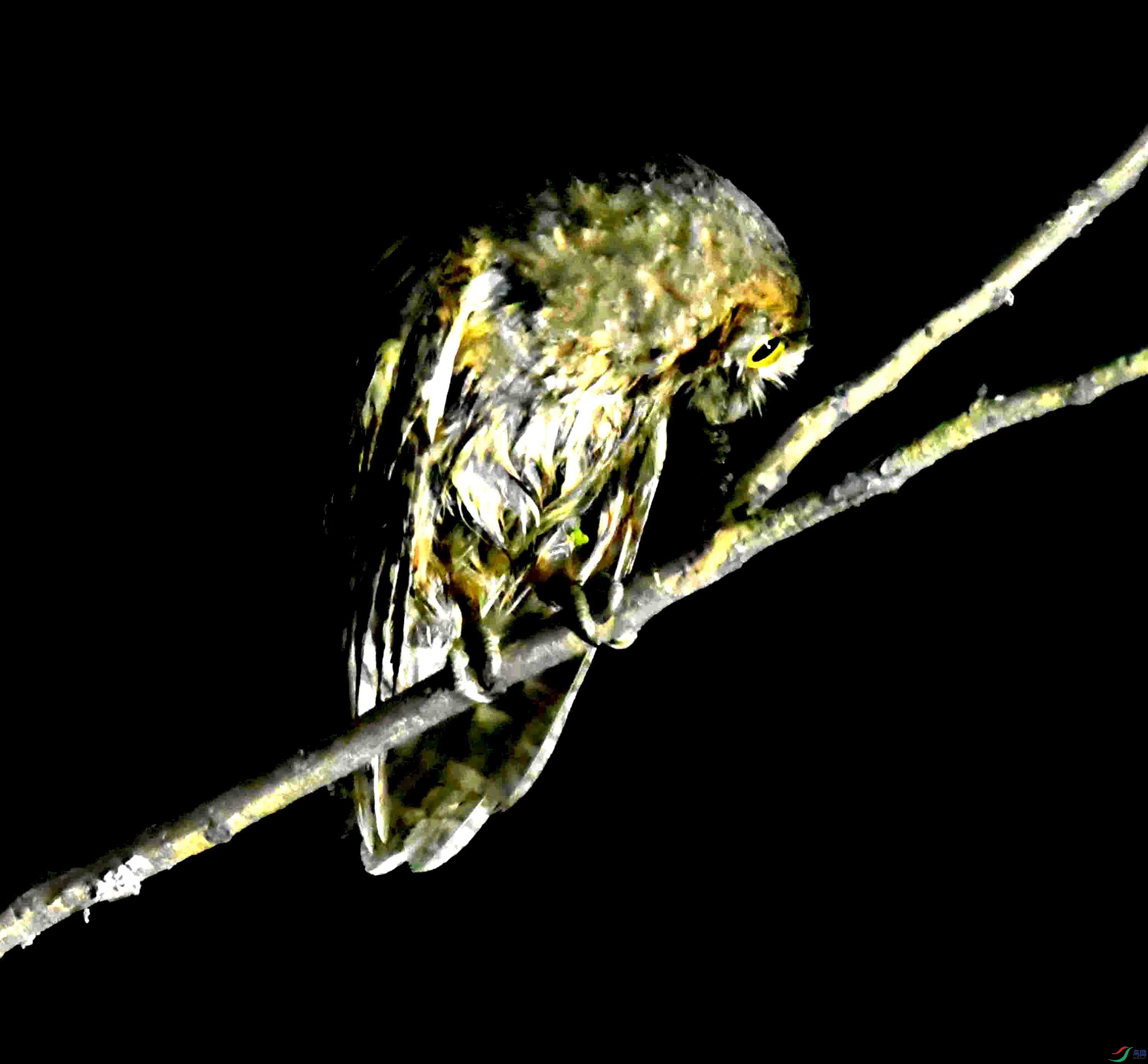 DSC_0731.JPG