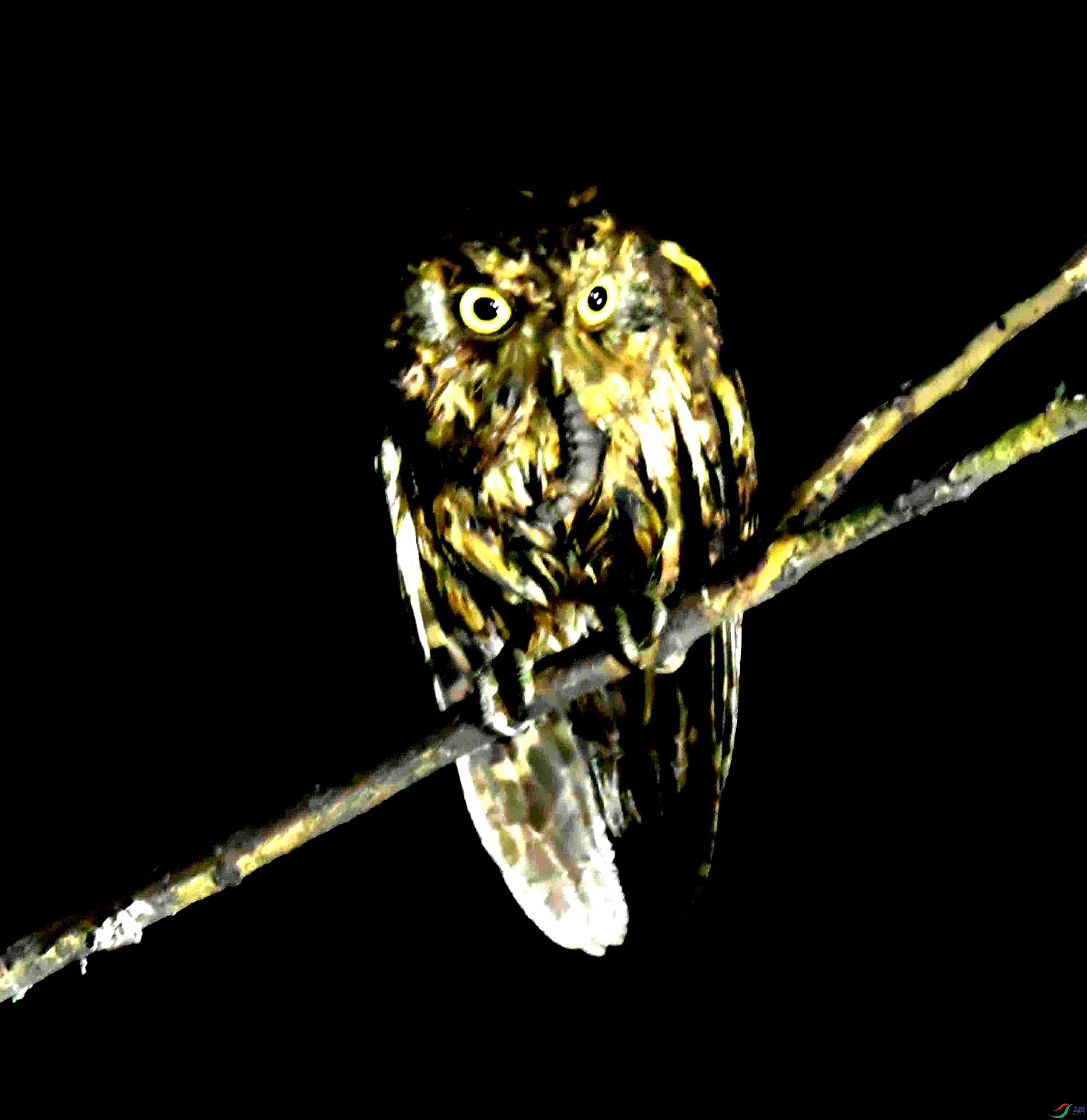 DSC_0715.JPG