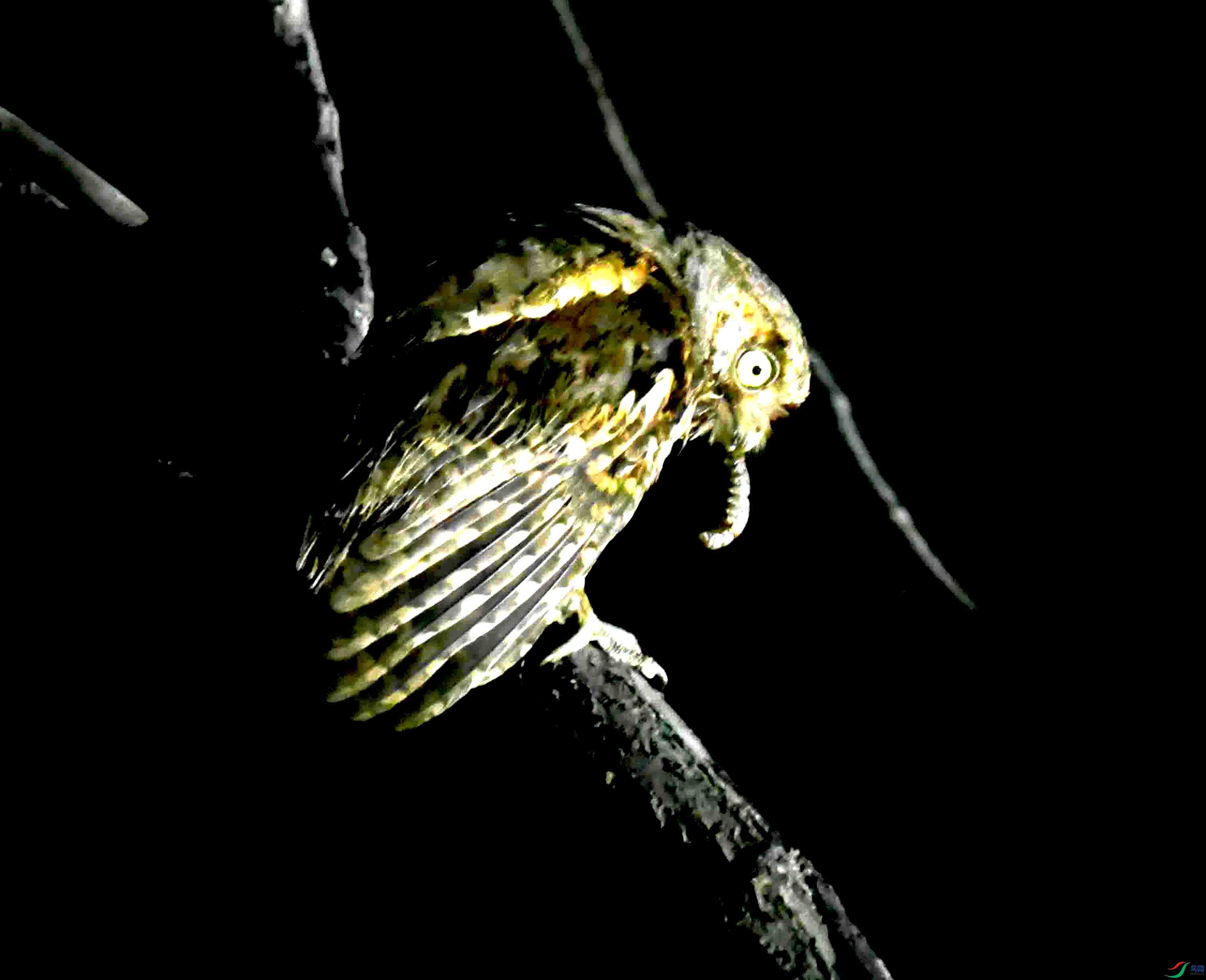 DSC_0648.JPG