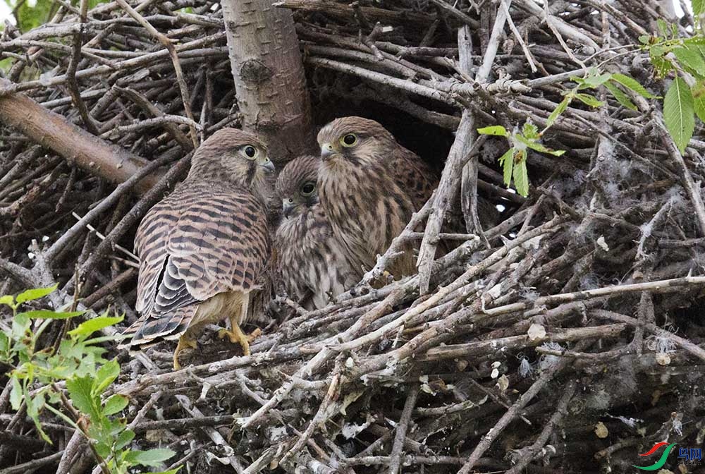 �ұ���4 4935---333.jpg