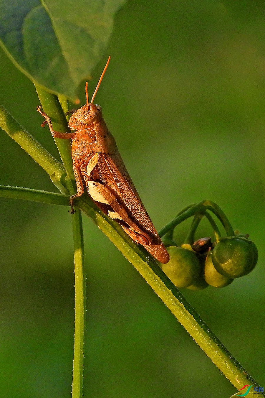 DSCN5379.jpg