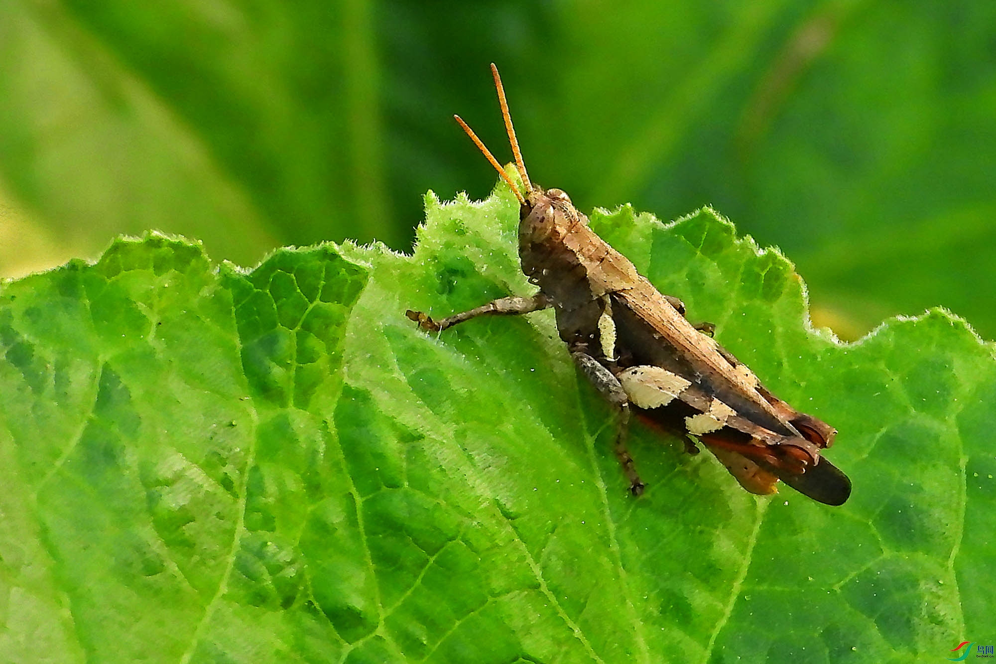 DSCN5383.jpg