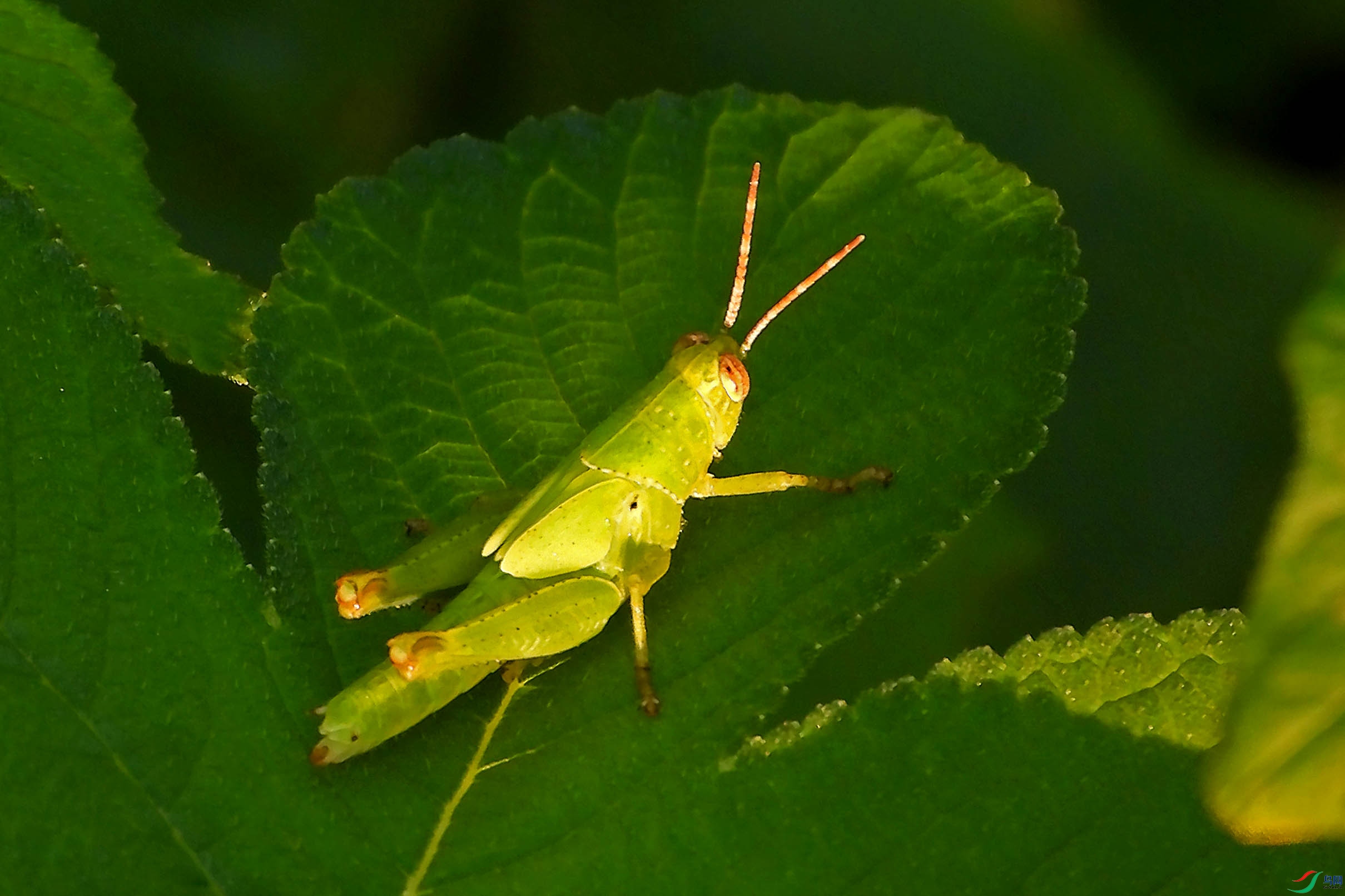 DSCN5388.jpg