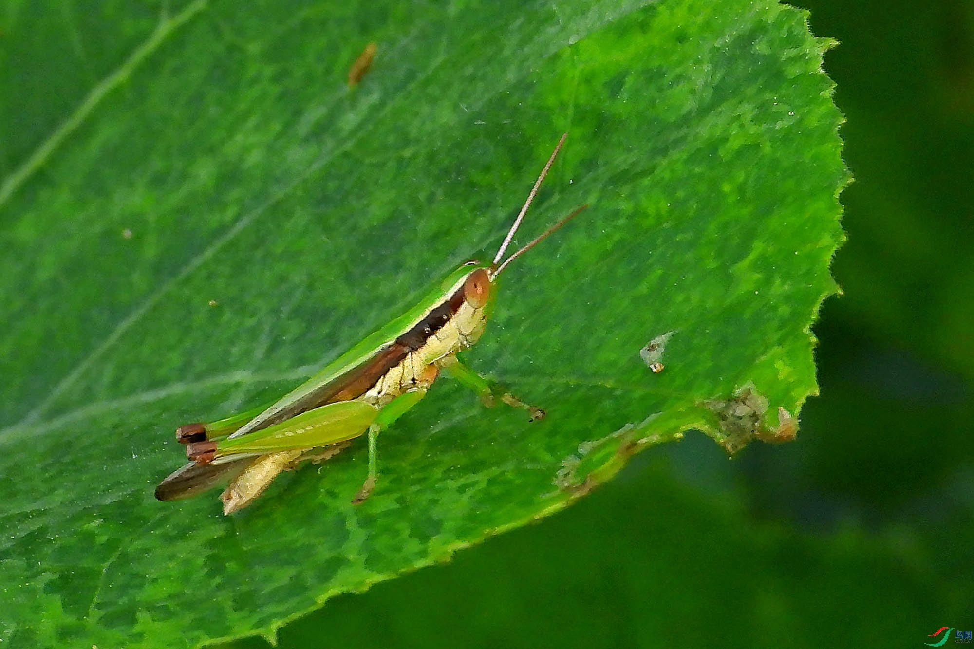 DSCN5391.jpg