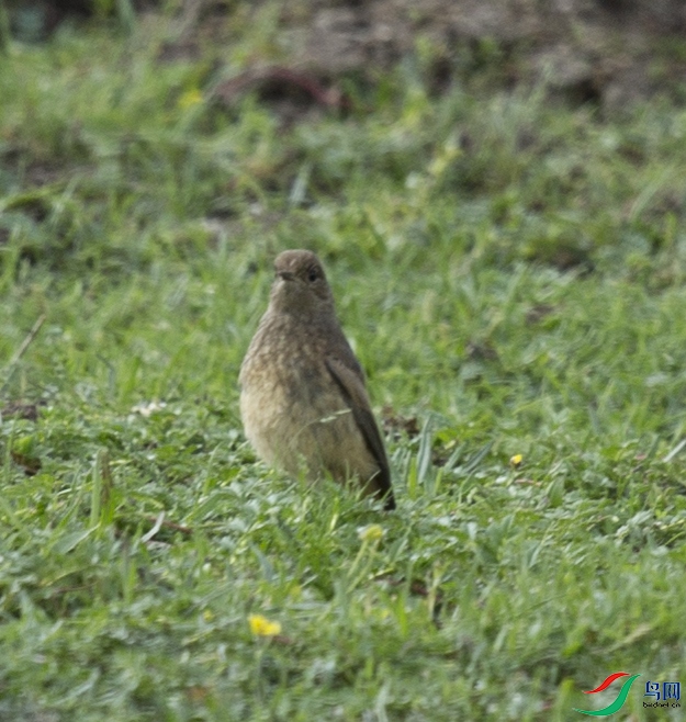 CS3U6706.jpg