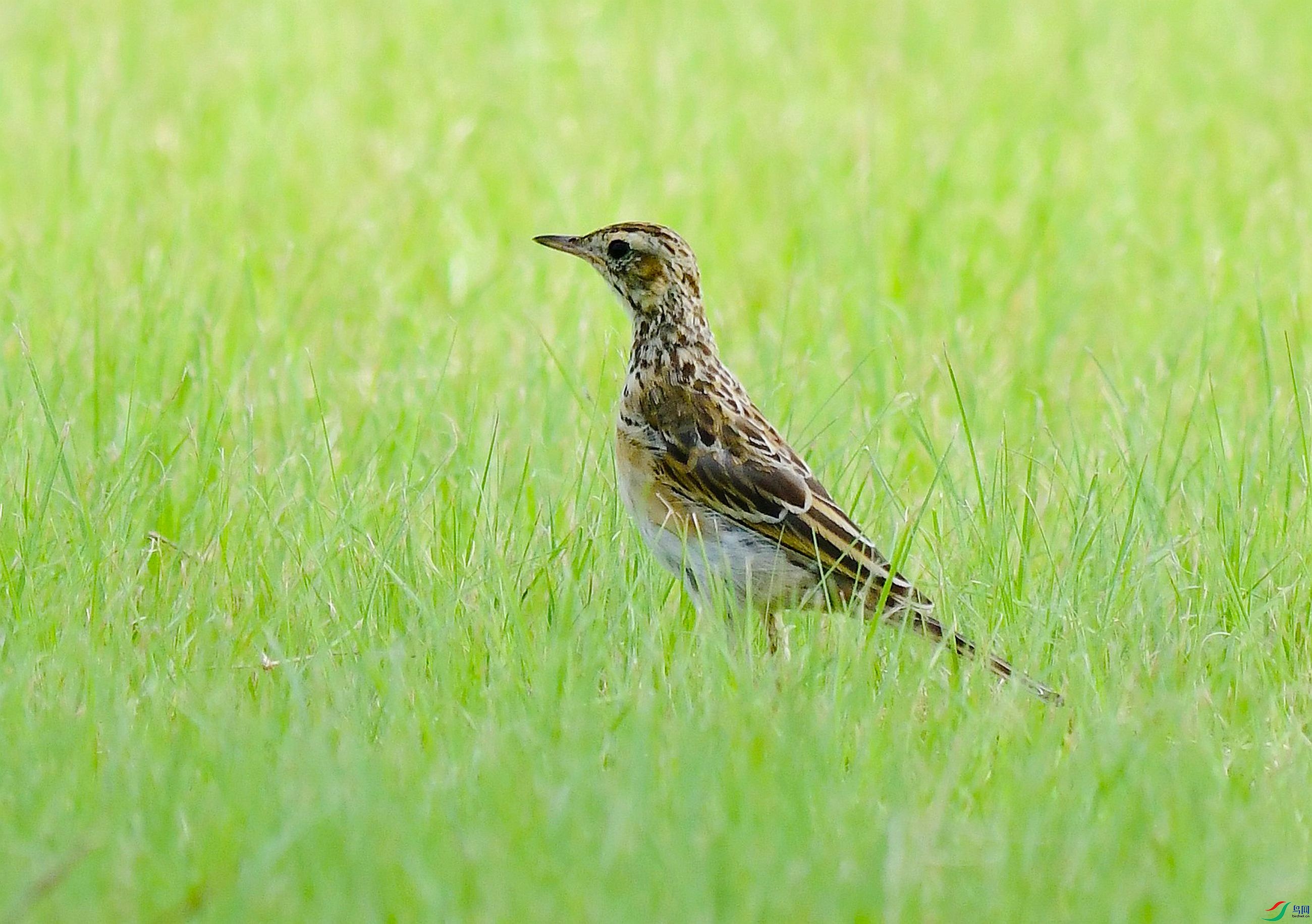 DSC_3044.JPG