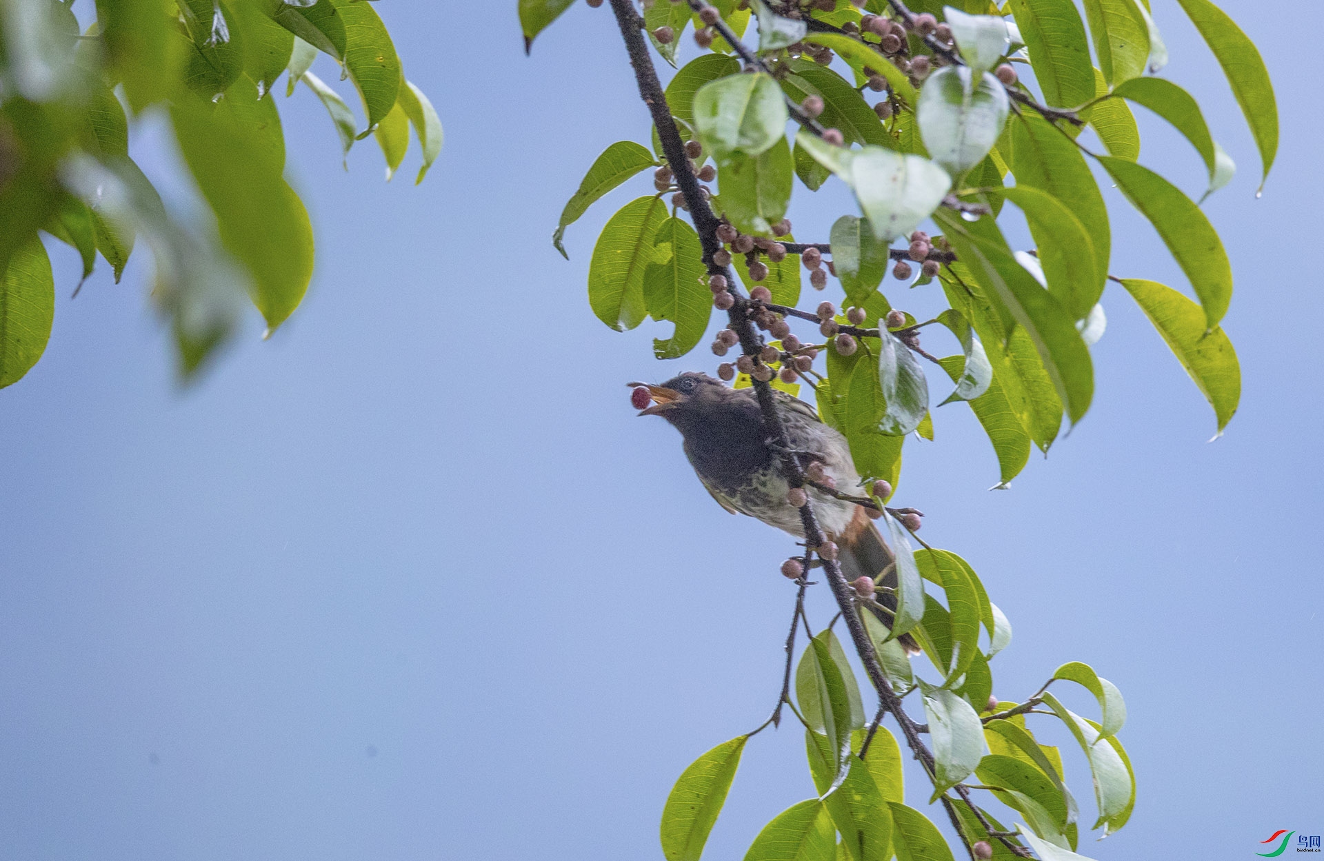 �ں�������