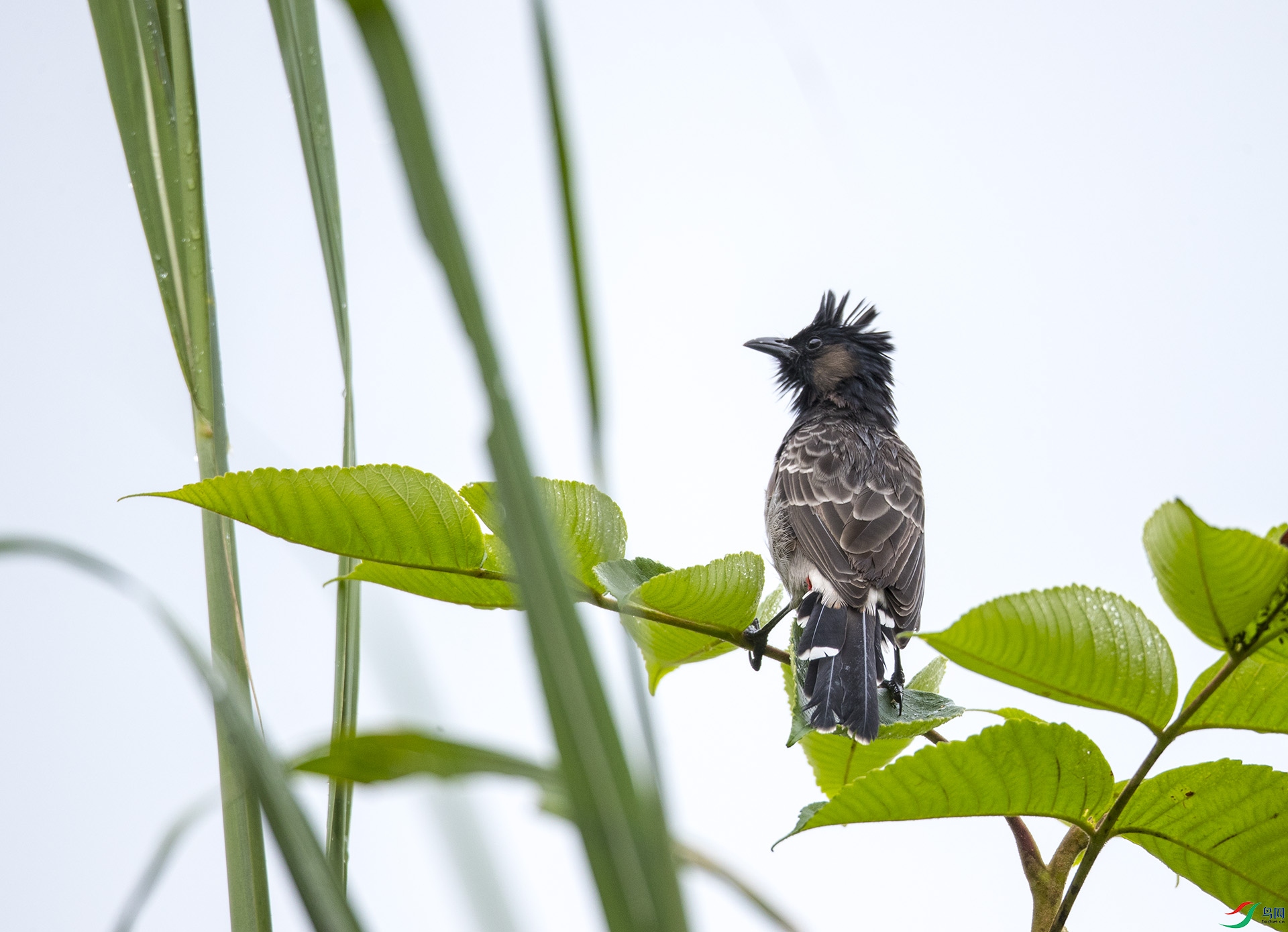 �ں�������