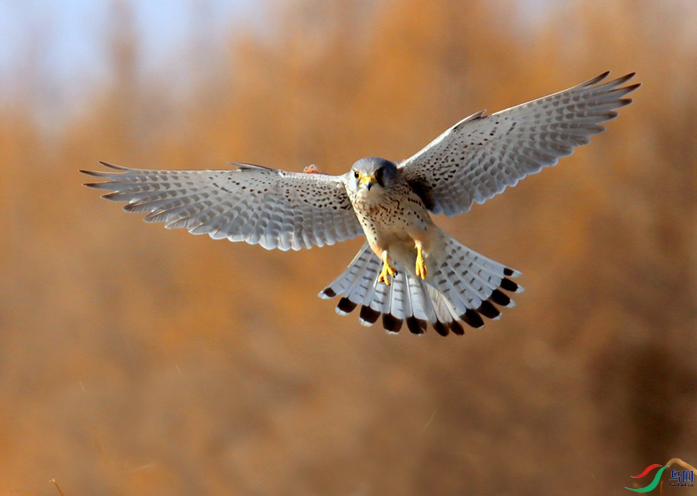 ����4    _5135---333--2.jpg