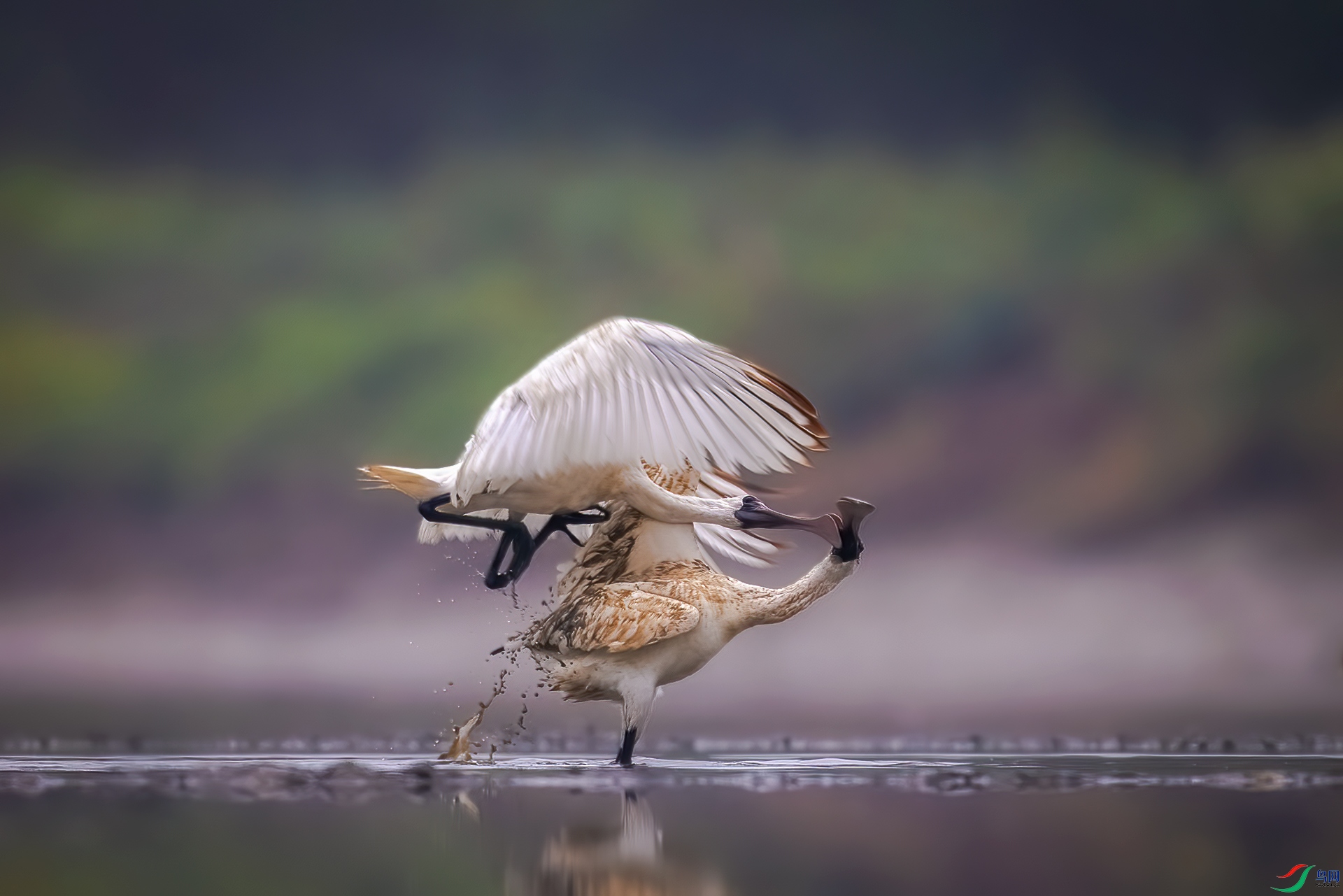 A75A9135-�༭ ����-�༭ ����.jpg