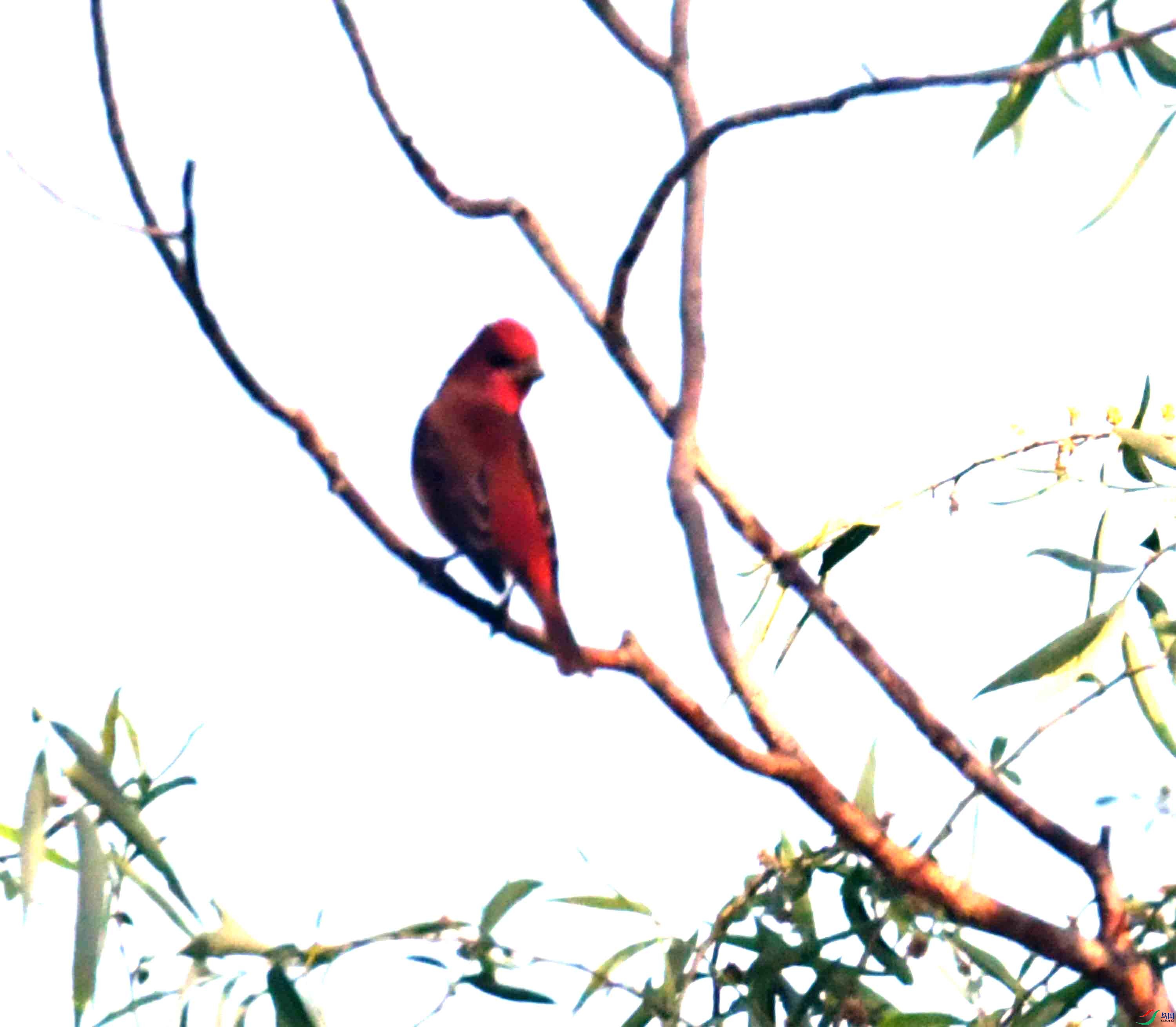 DSC_7585.JPG