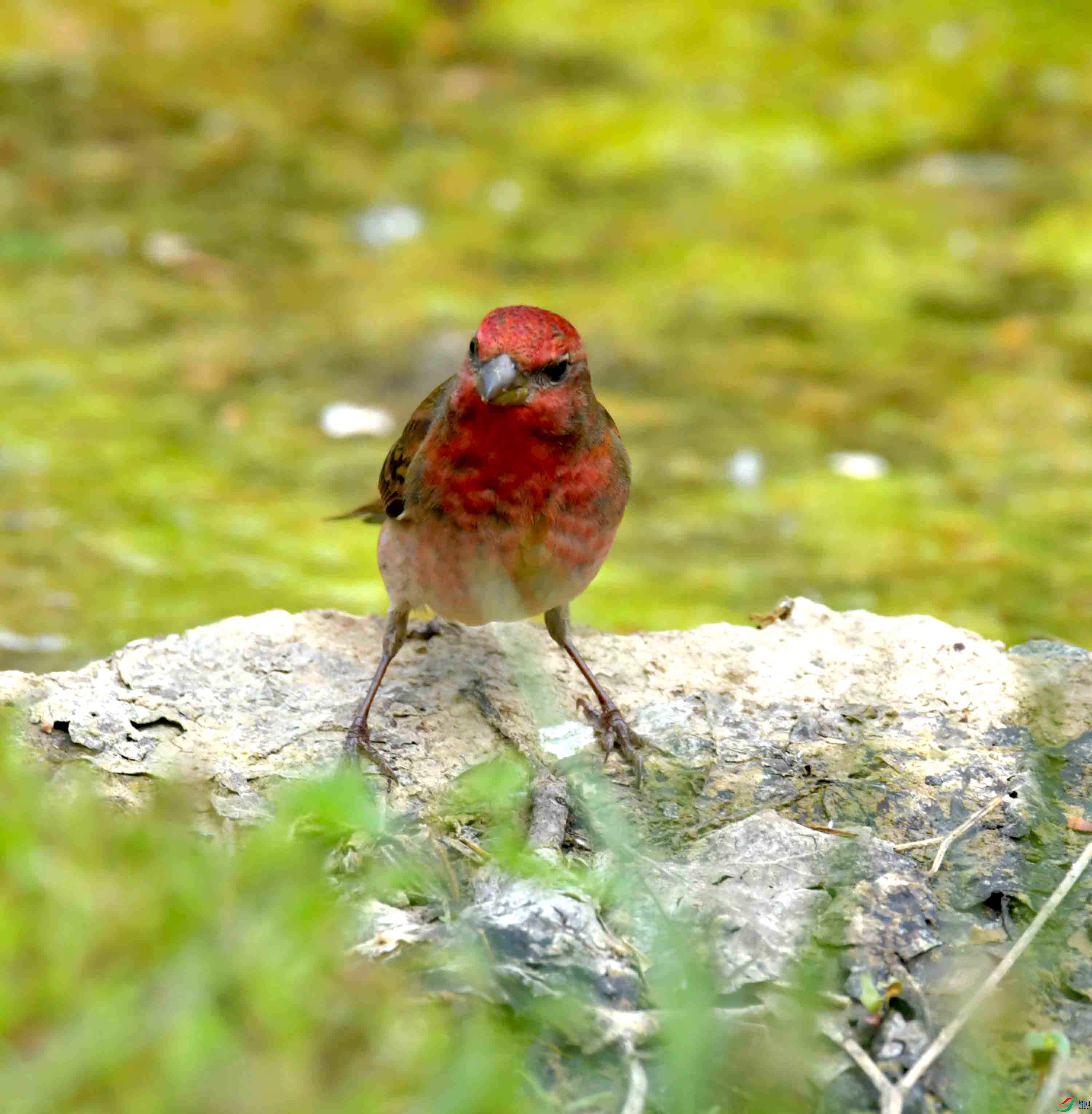 DSC_8787.JPG