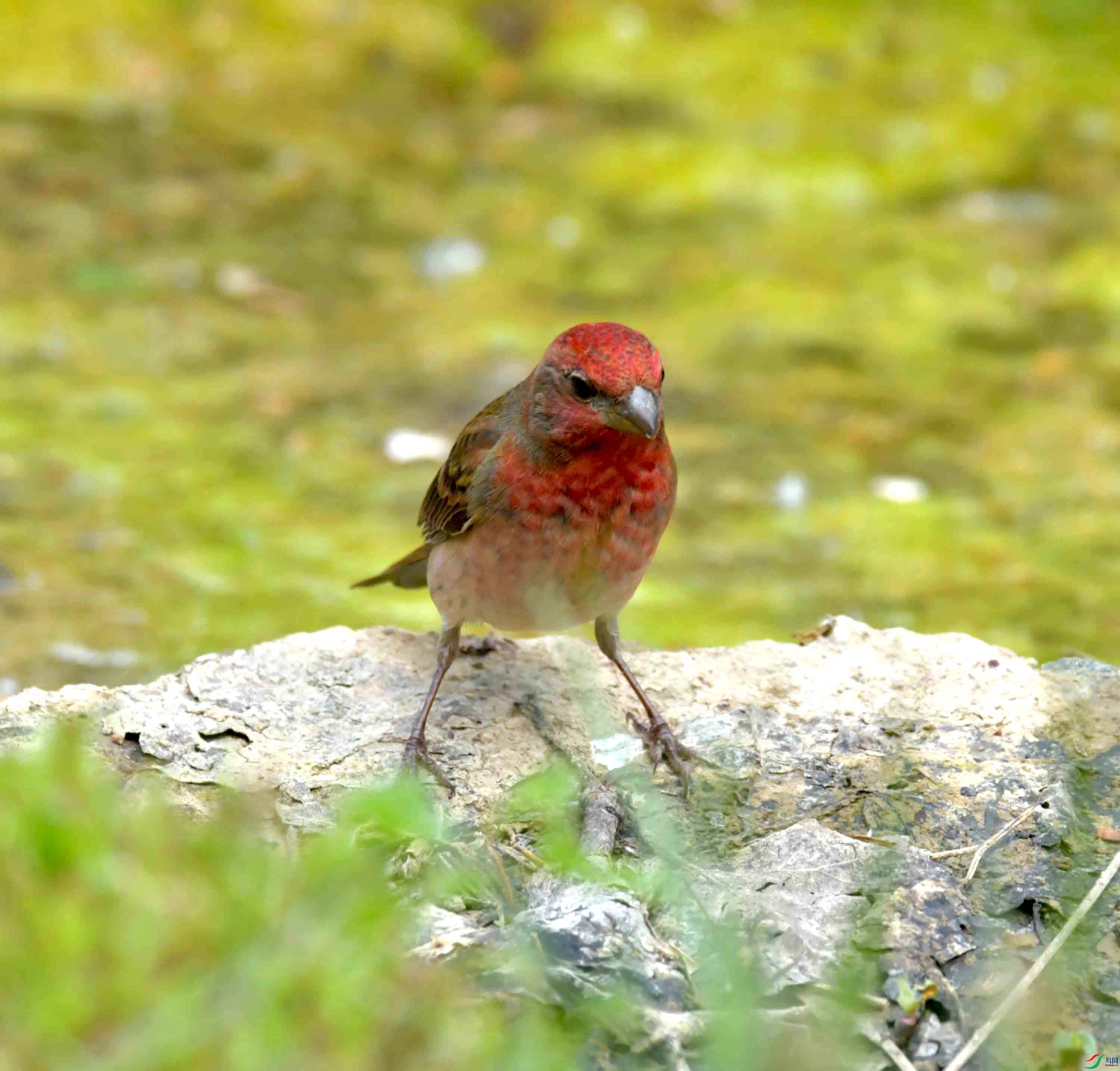 DSC_8795.JPG
