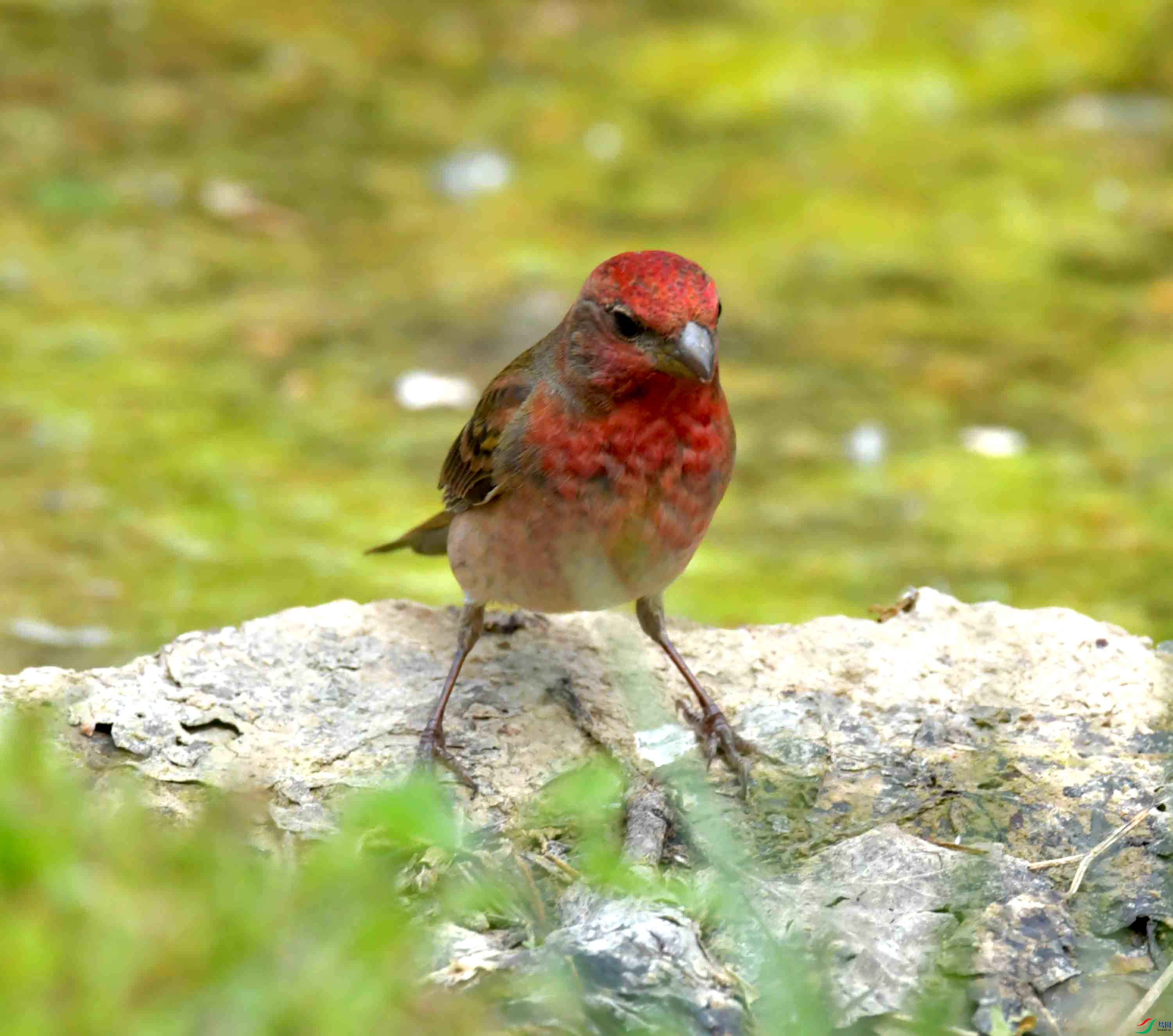 DSC_8796.JPG