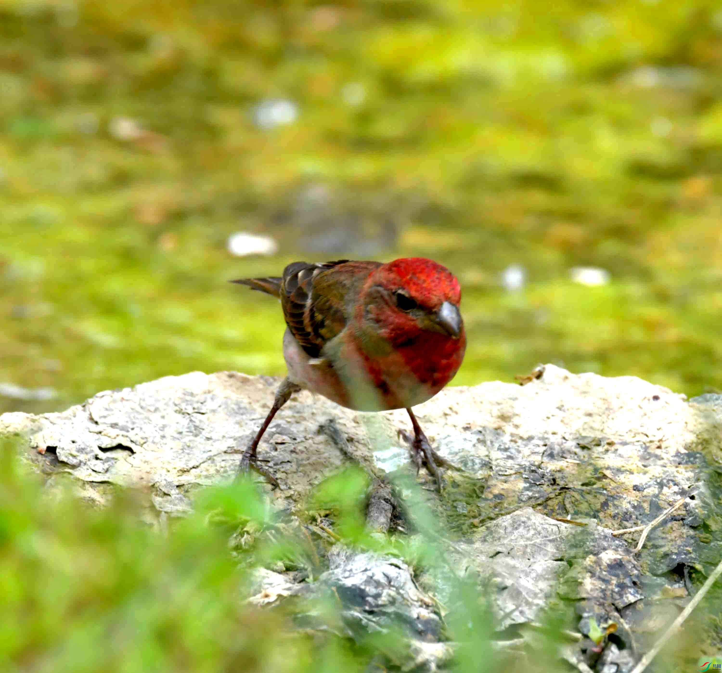 DSC_8797.JPG