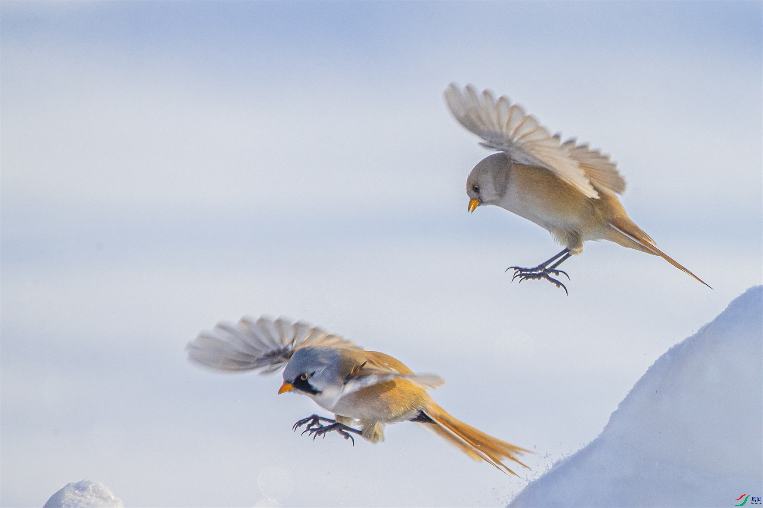 DK7T0606 ����1.jpg