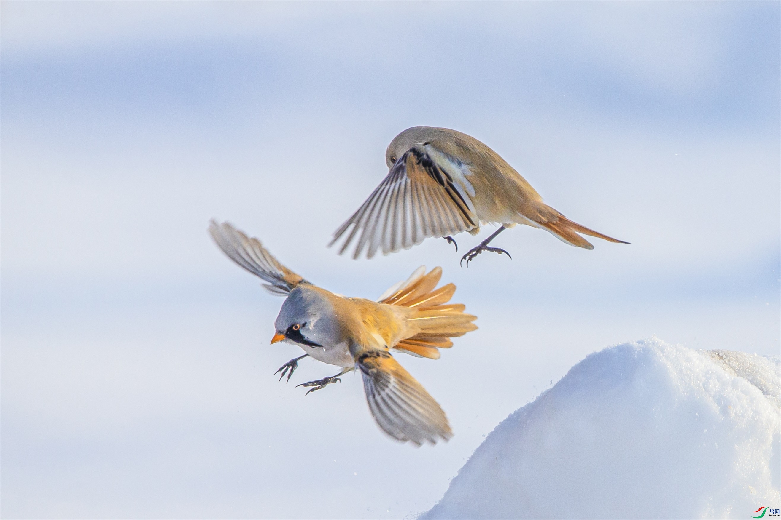 DK7T0605 ����1.jpg