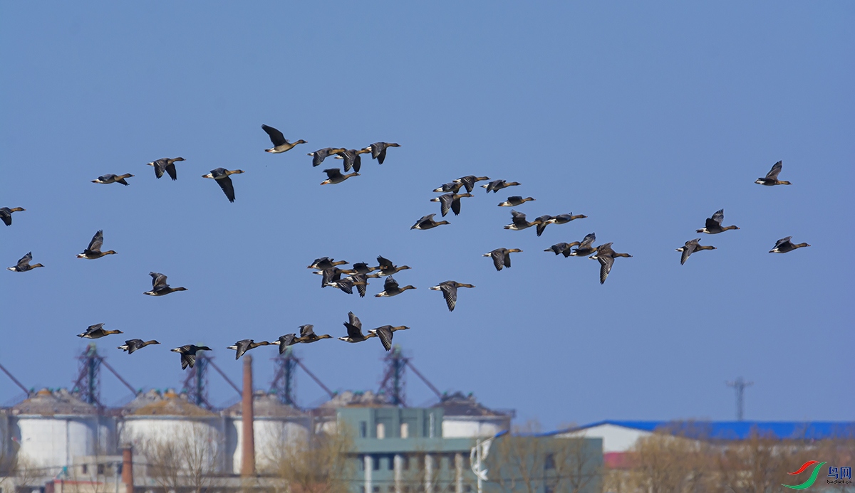 20190309 (19).jpg