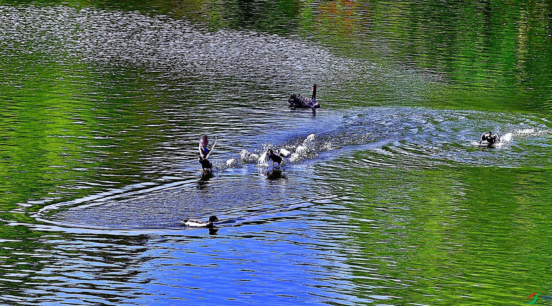 _DSC4890.jpg