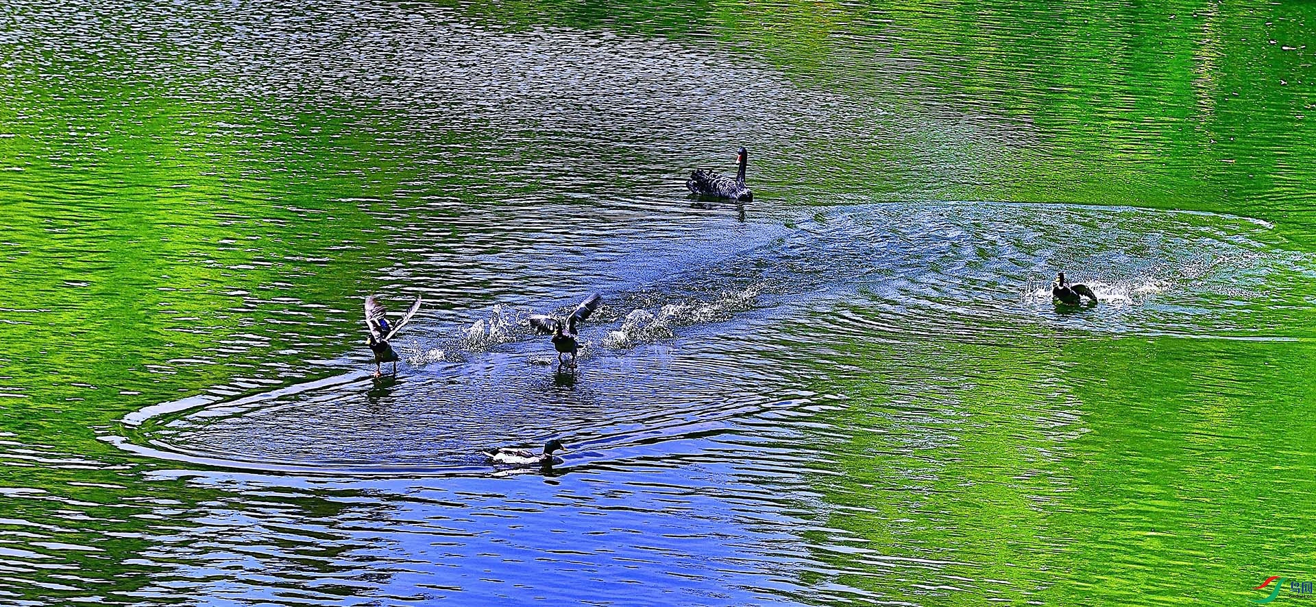 _DSC4892.jpg