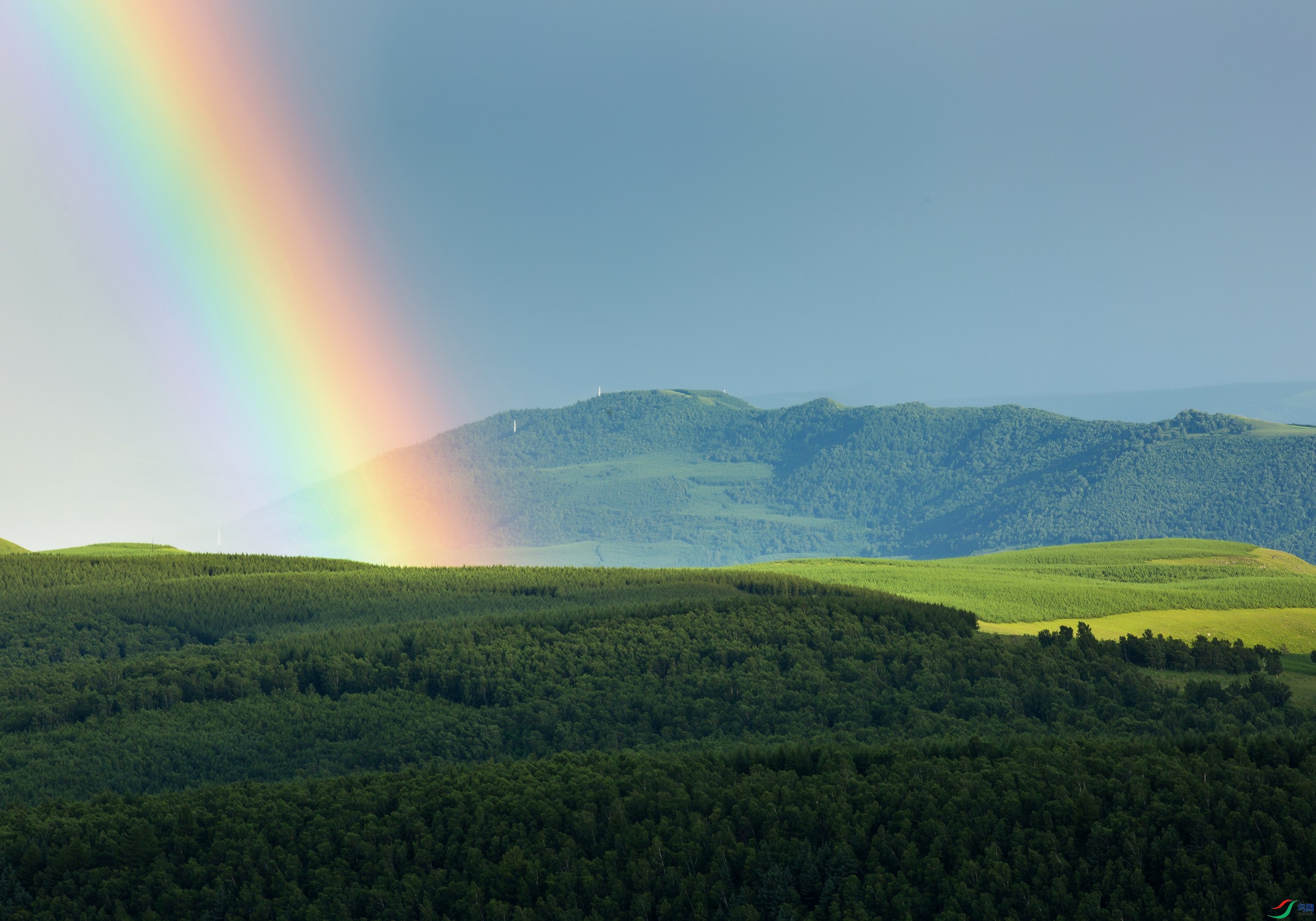 RAW Picture 27977984.jpg