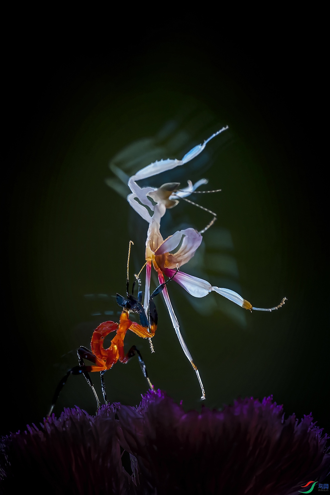 �о�1���� -500k.jpg