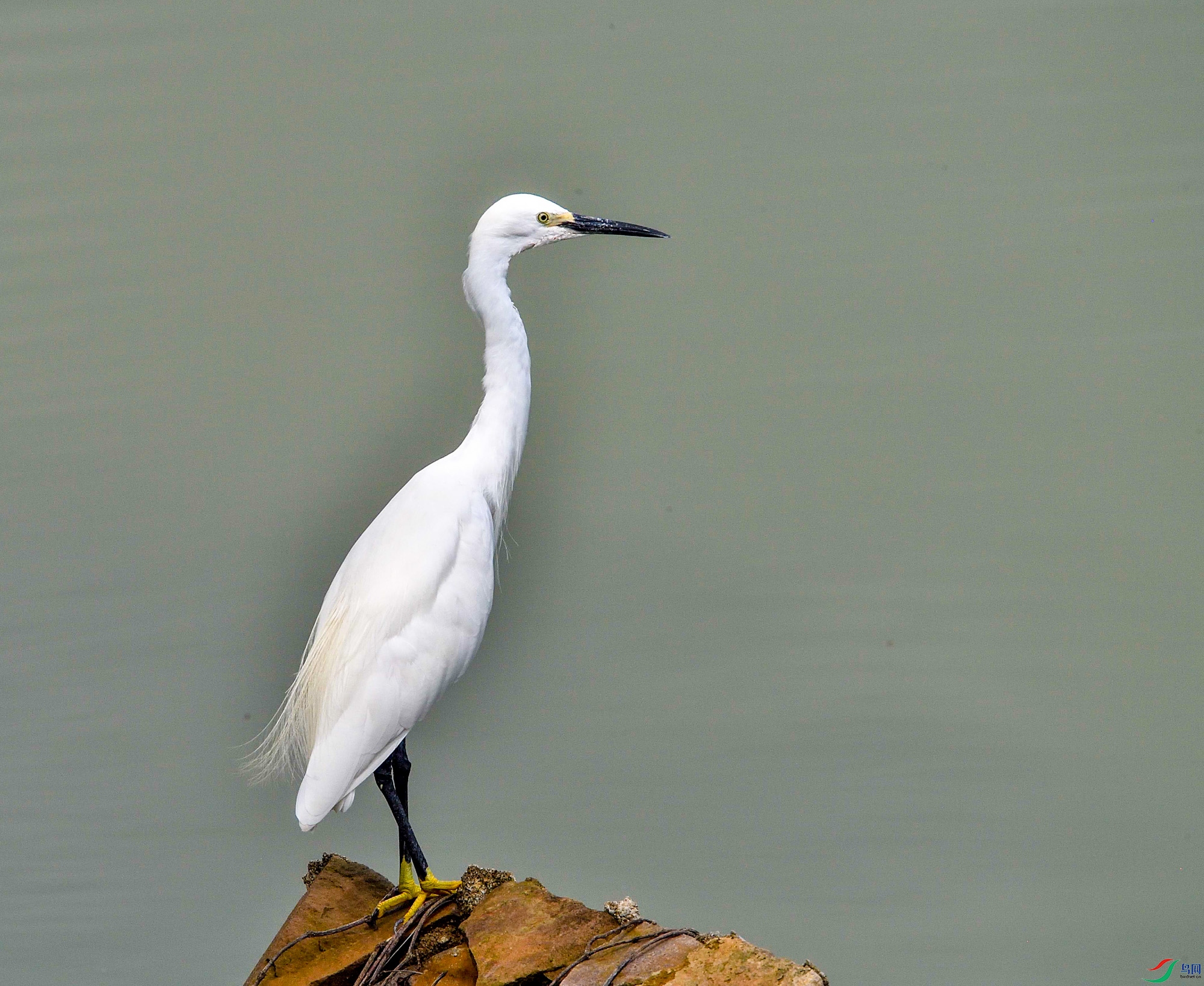 DSC_1394.jpg
