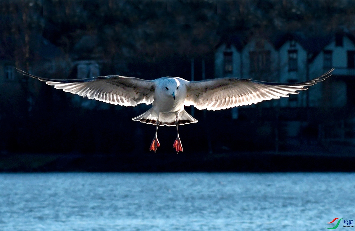 DSC_5700 - ����.JPG