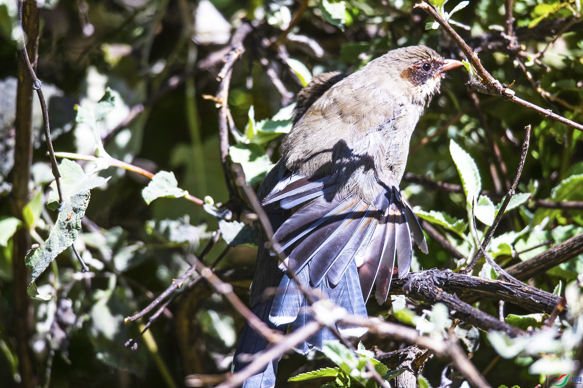 �Ҹ�����