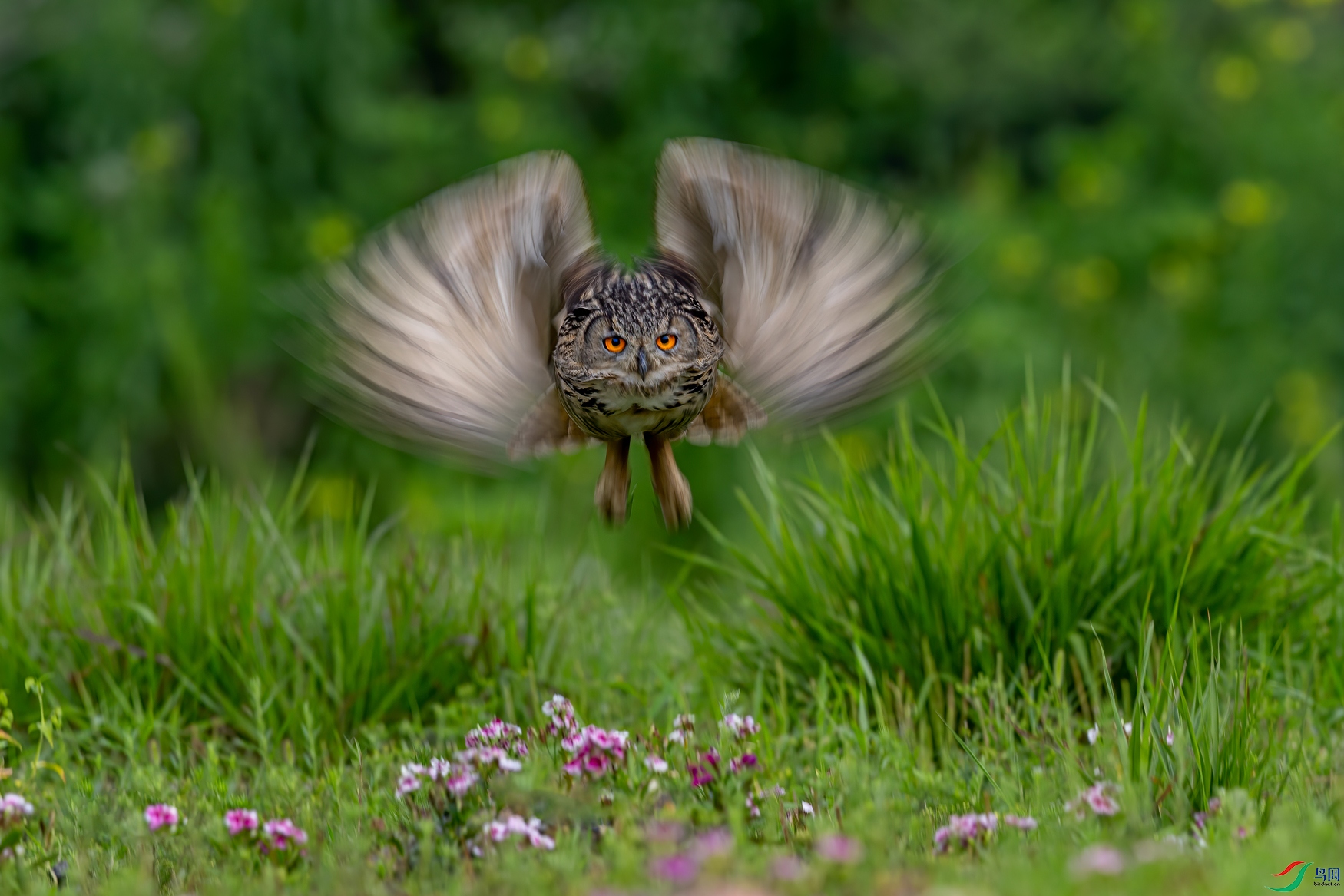 0P8A6903.jpg