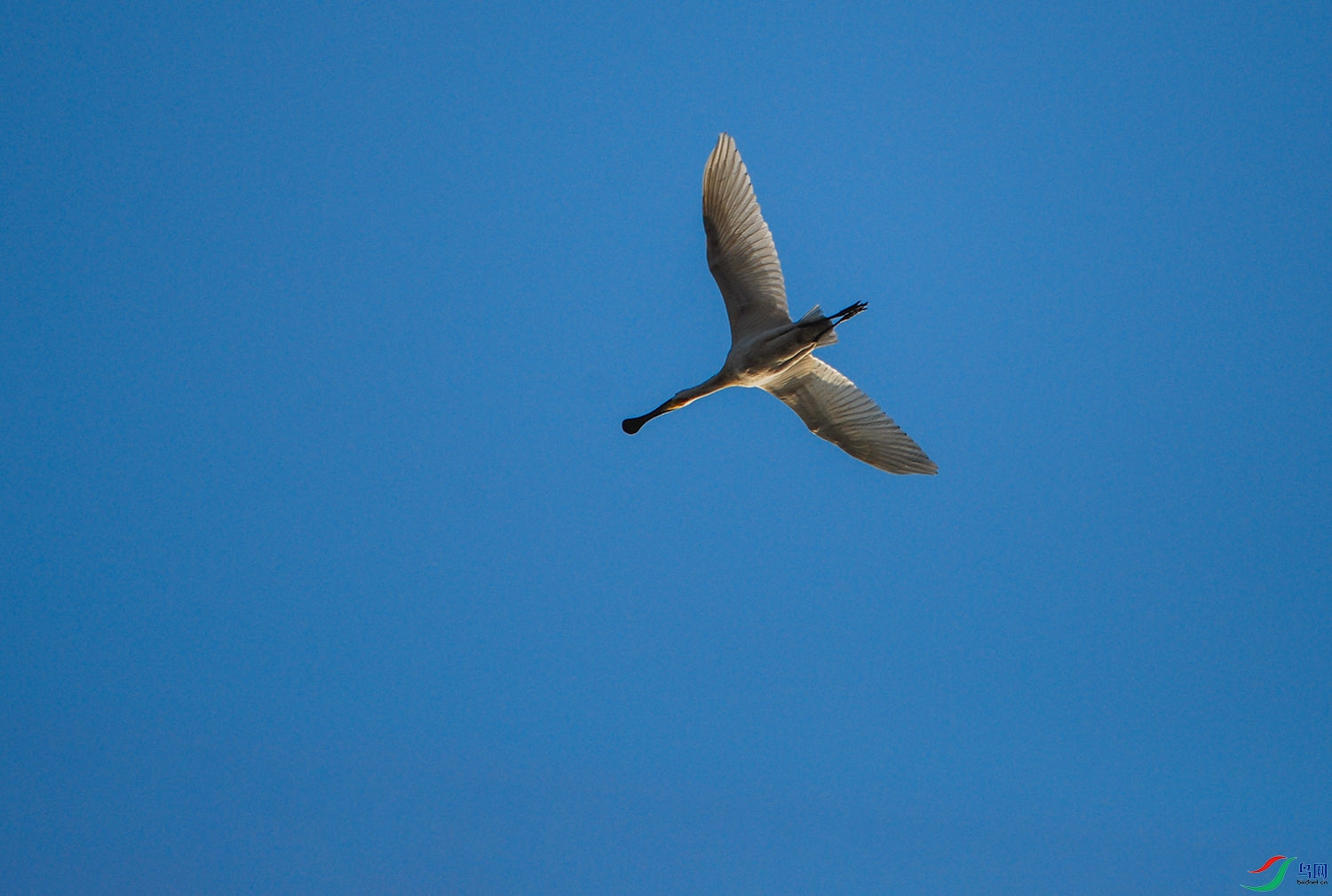 DSC_0689.jpg