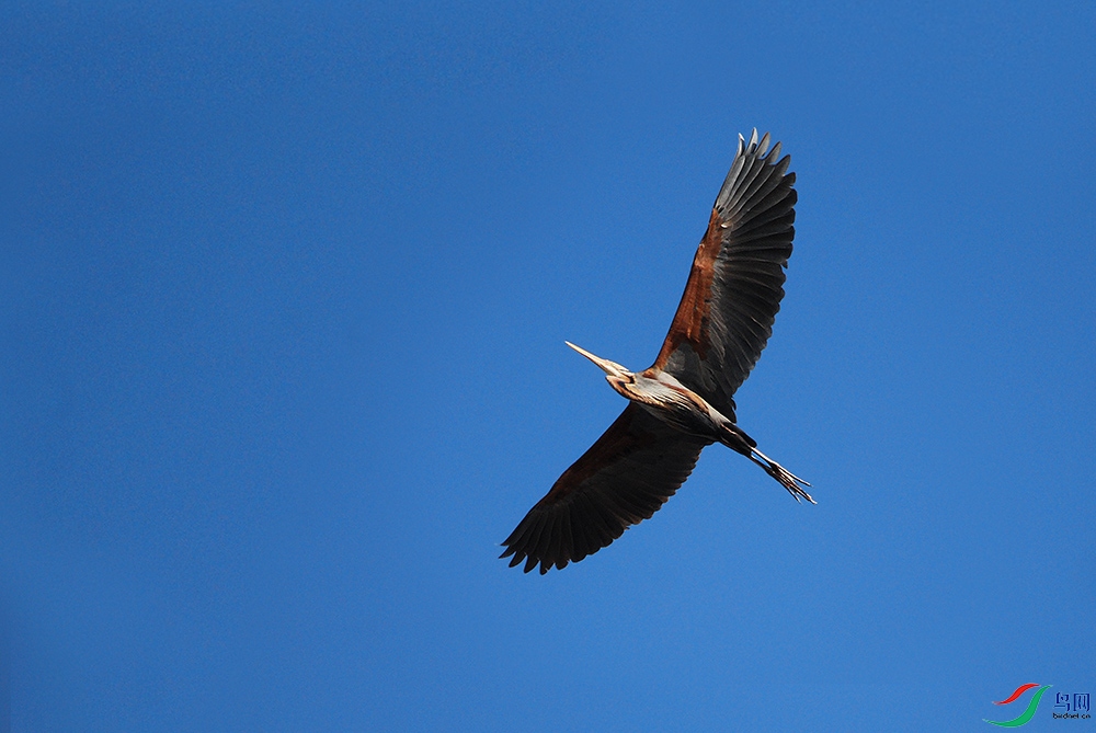 DSC_0904.JPG