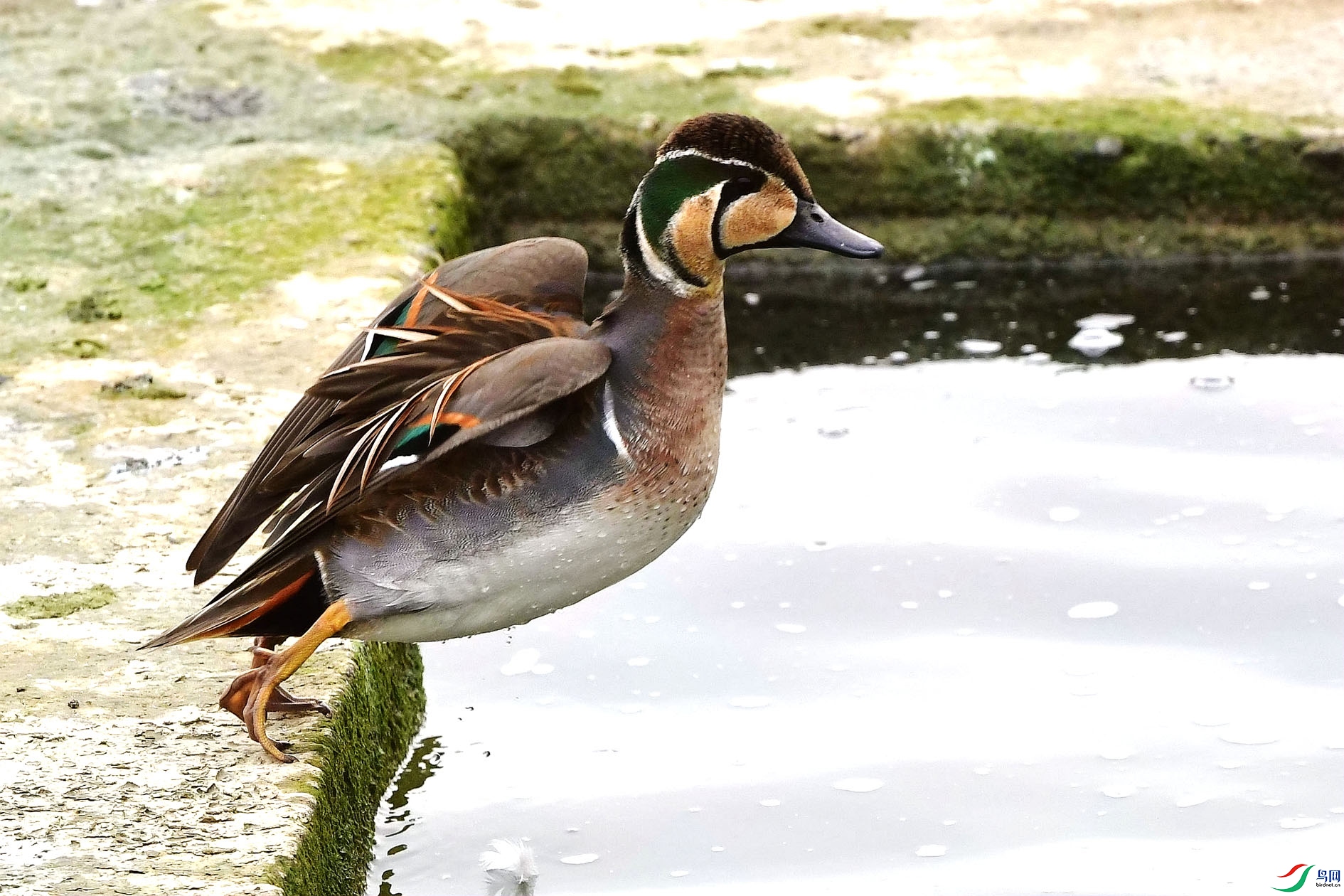 DSC_0505_����.jpg