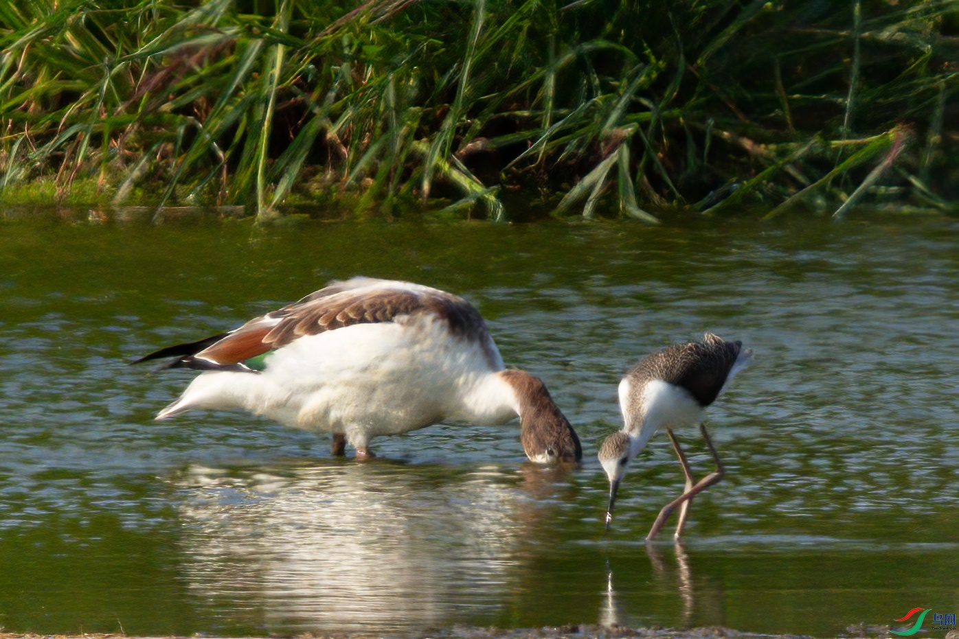 DSC_6327.jpg