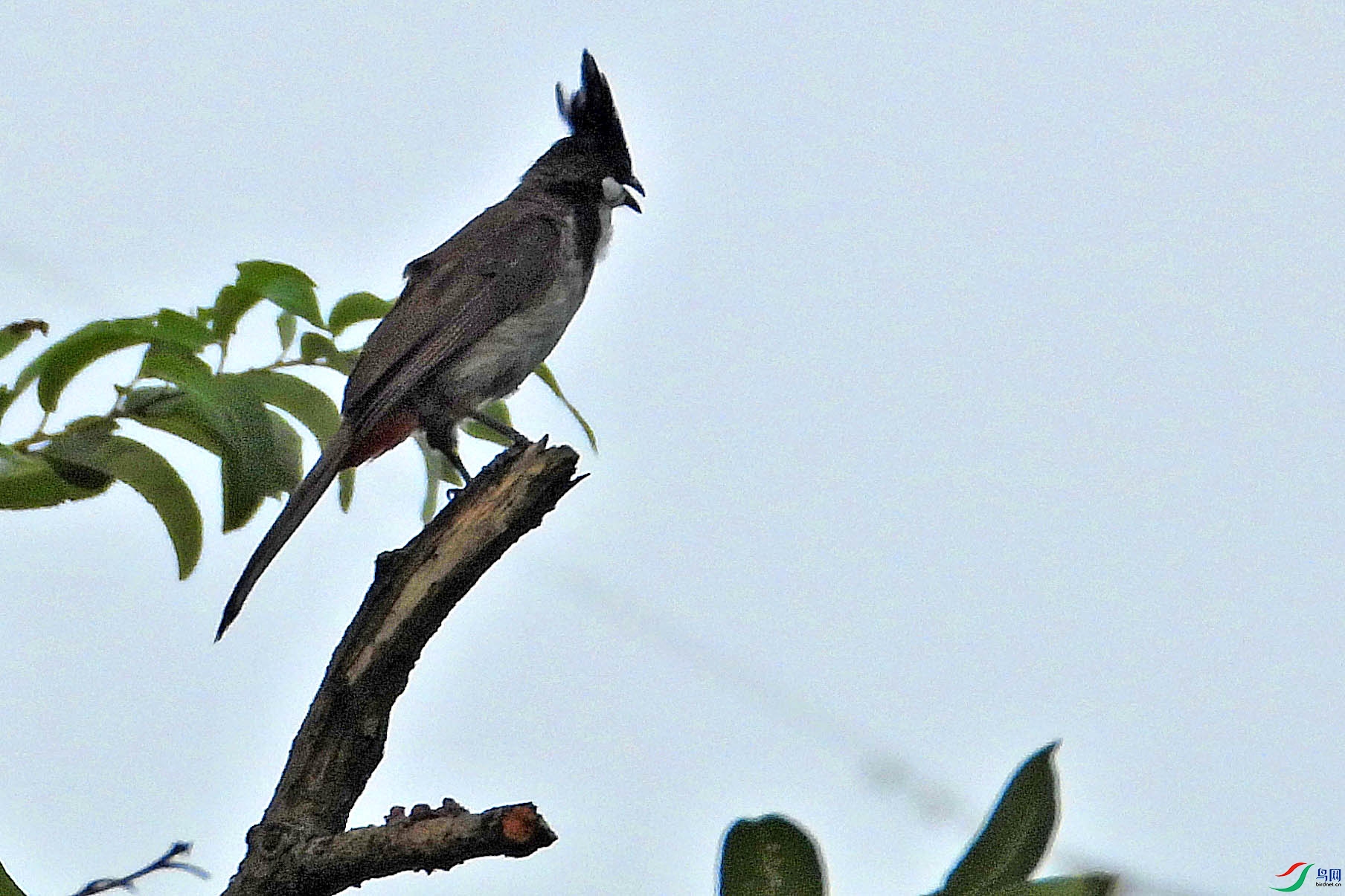 DSCN5626.jpg