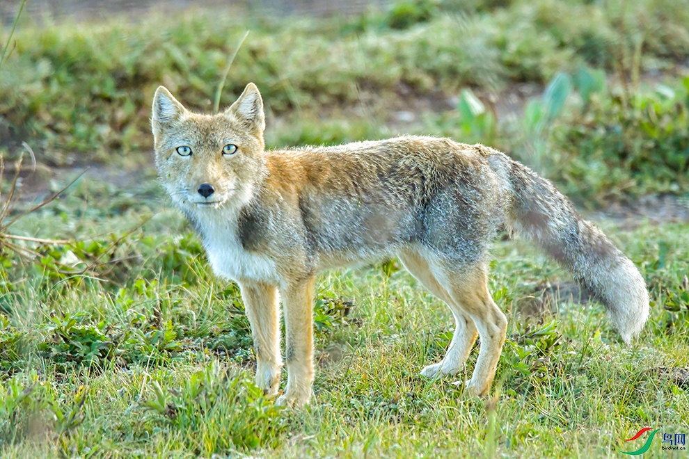 AAA_7950--2.jpg