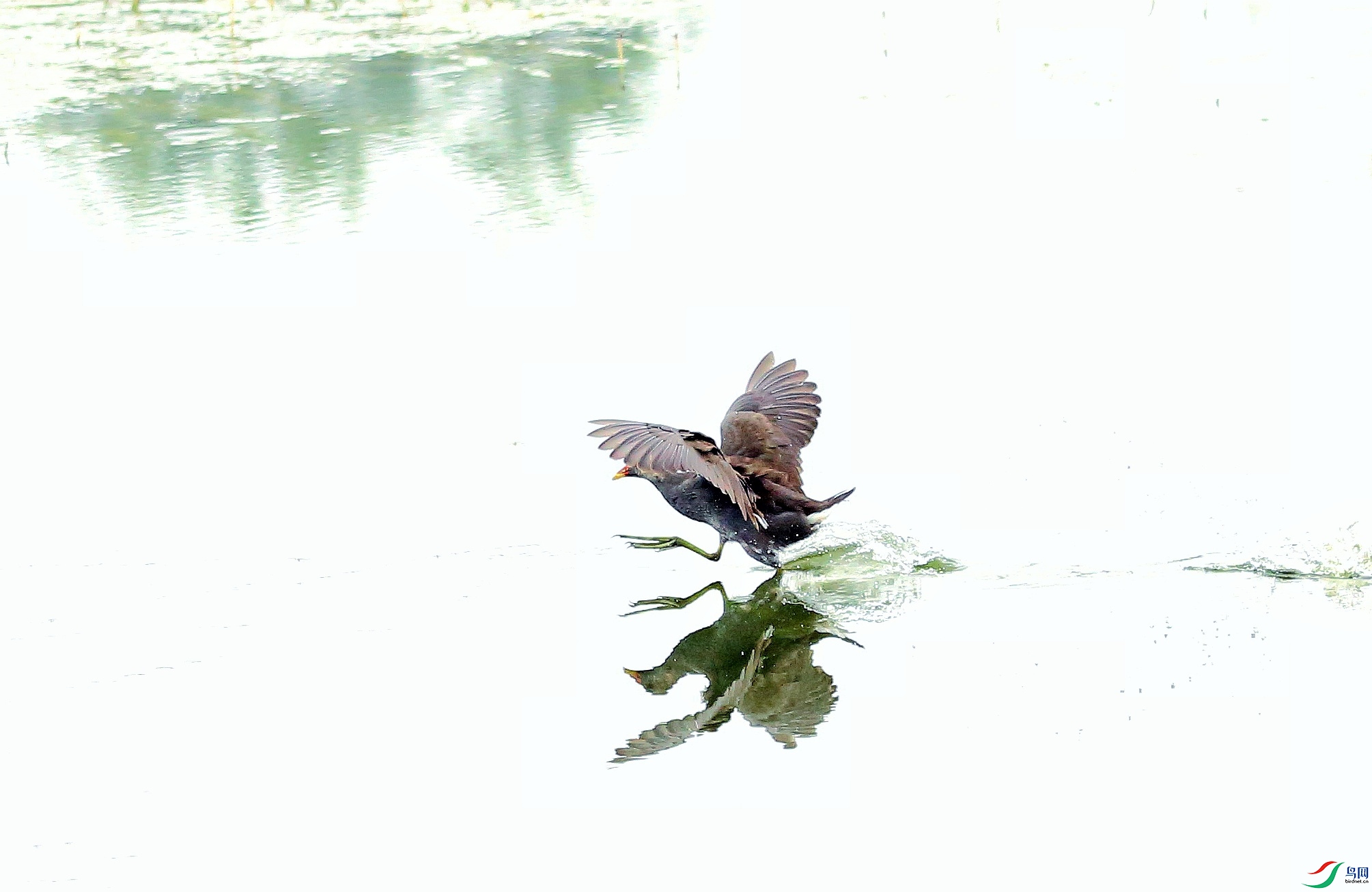 ��ˮ�� 02-01.jpeg