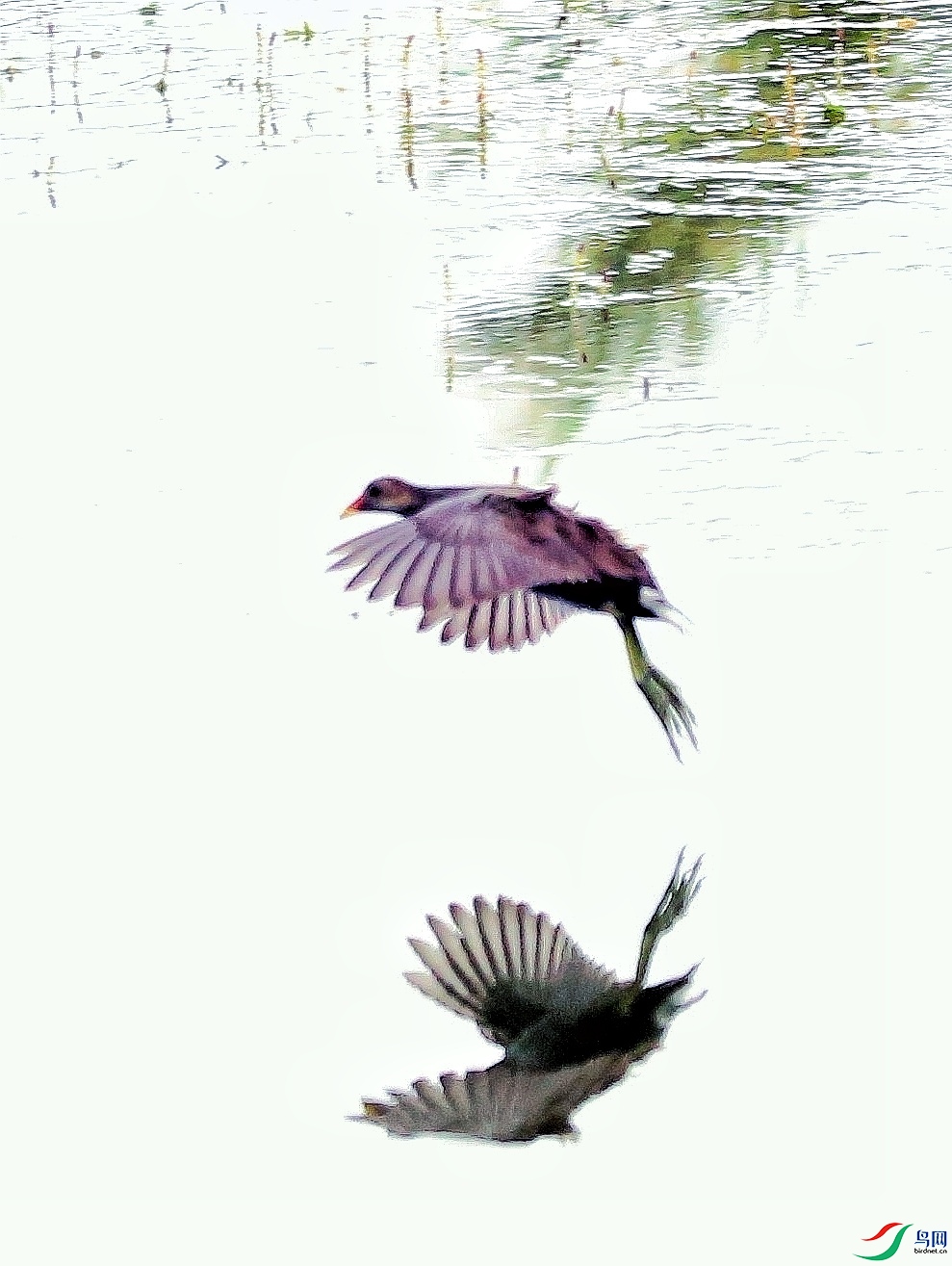 ��ˮ�� 01-01.jpeg