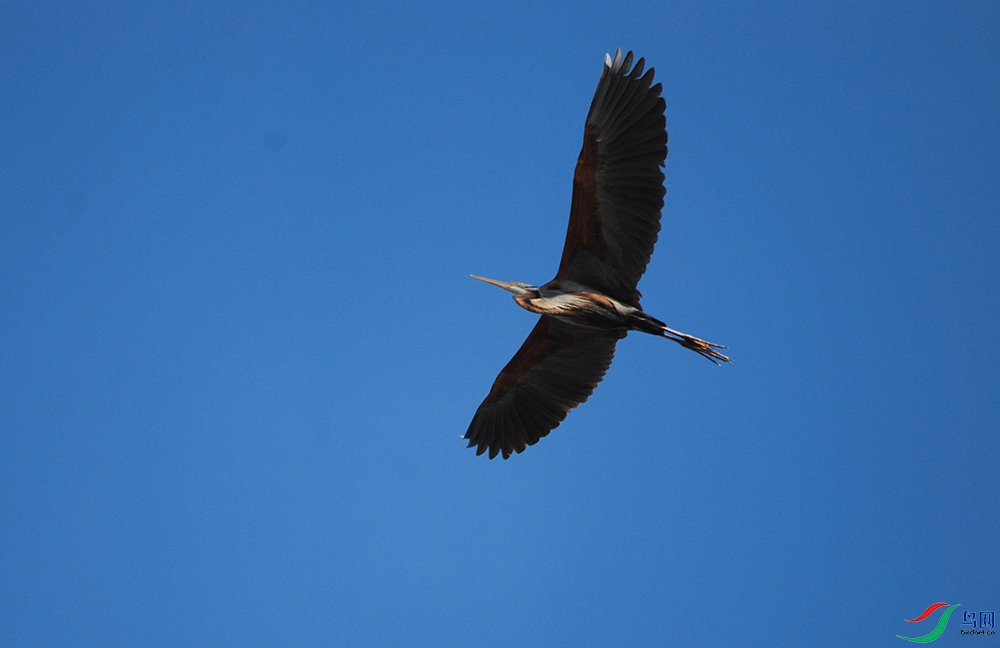DSC_0907.jpg