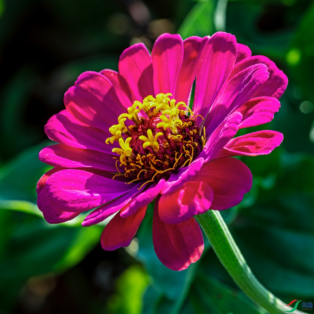 _5LM2381_2.jpg