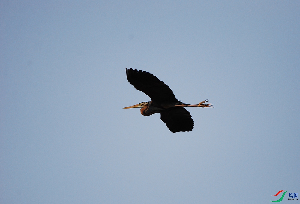 DSC_1574.jpg