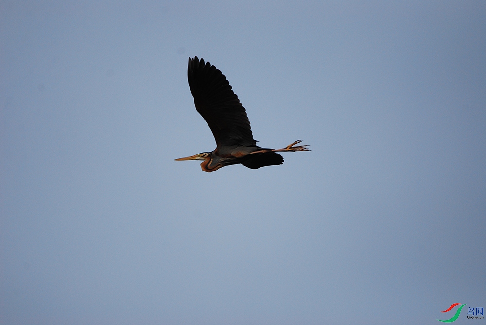 DSC_1577.jpg