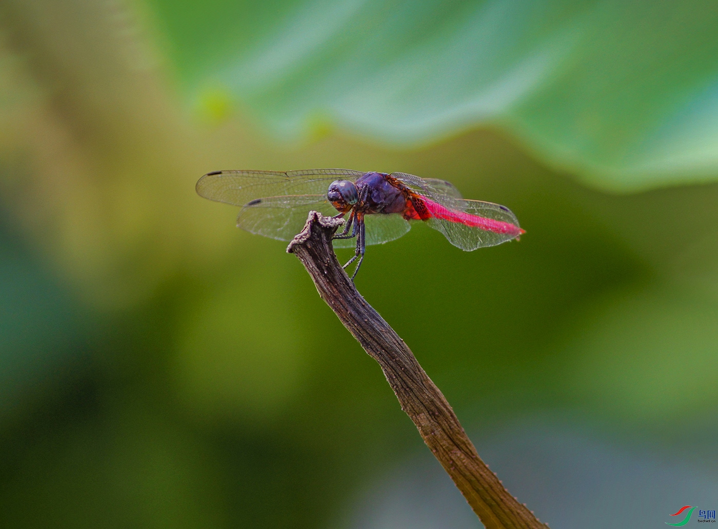 00002608������ֻ��߿��� ����500k0.jpg