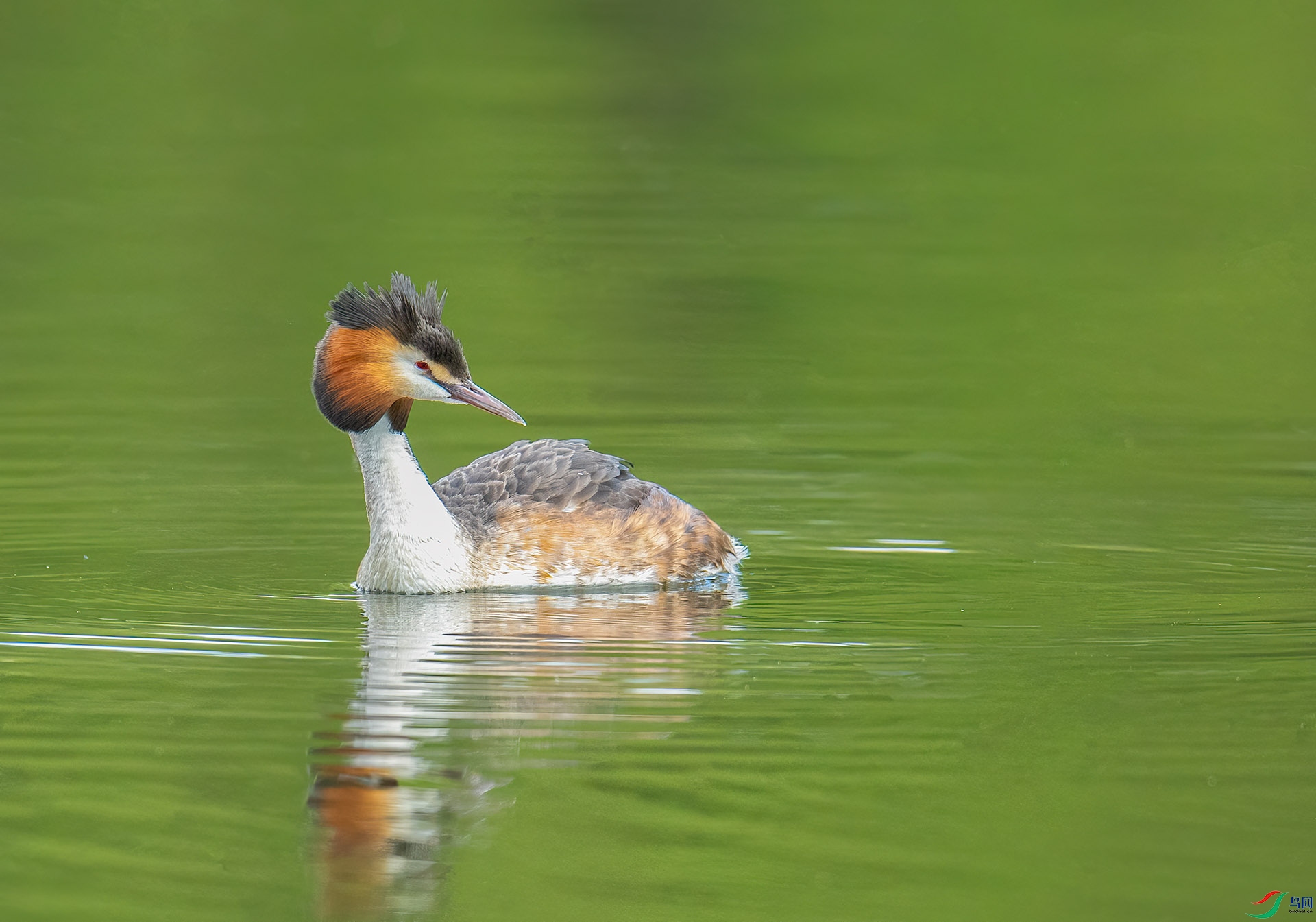 DSC_0110 ����.jpg